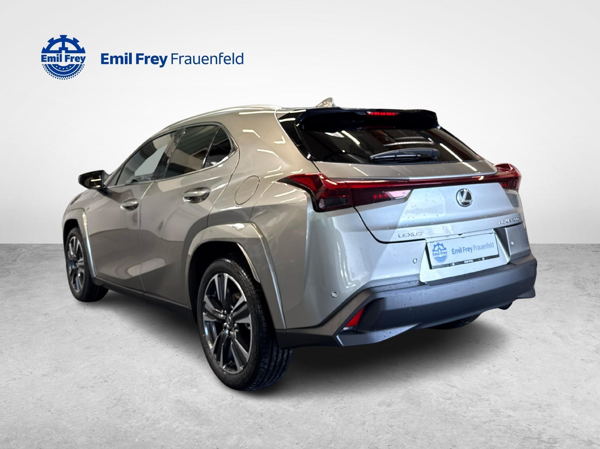 LEXUS UX 300h Excellence-image-2