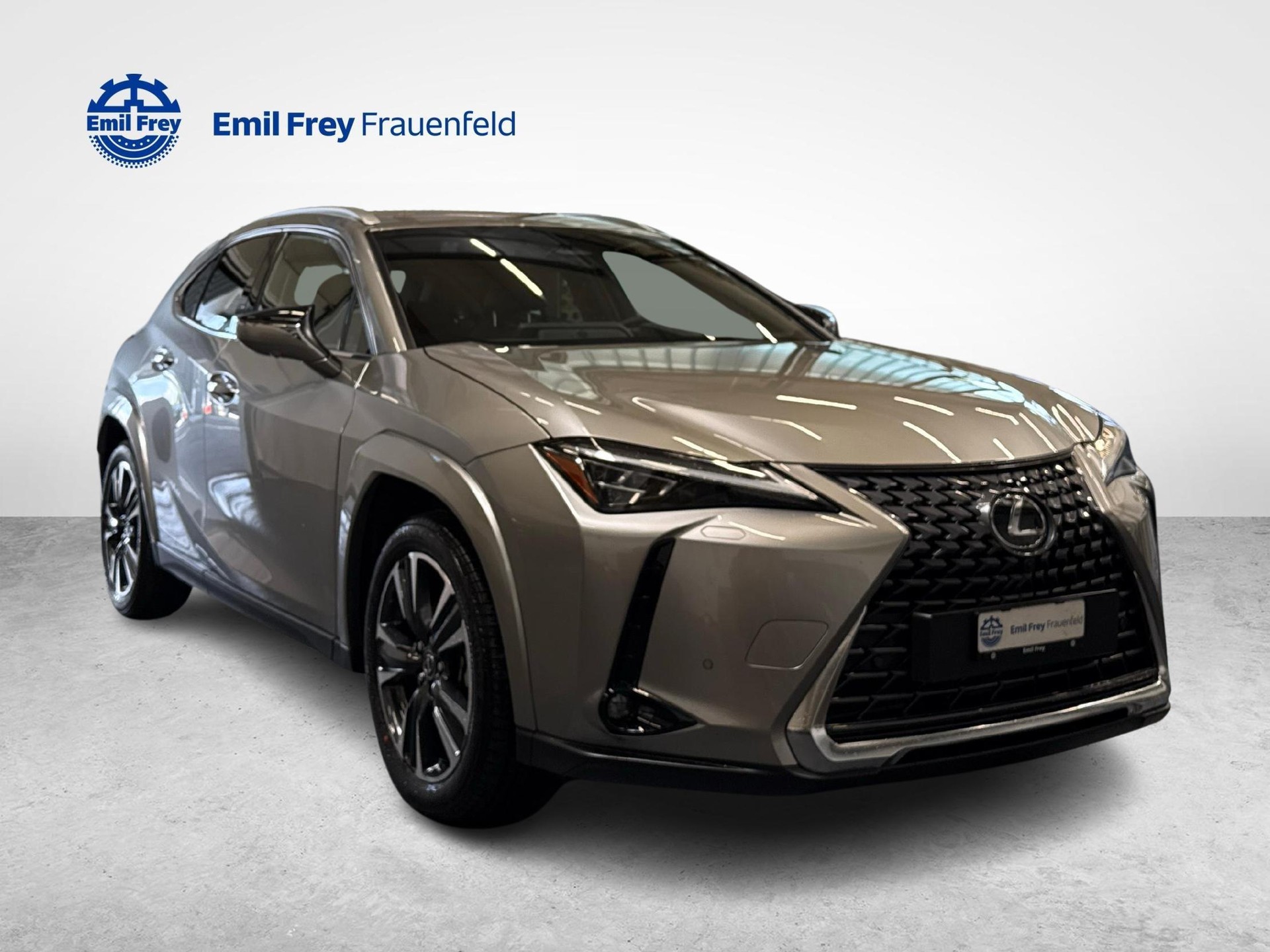 LEXUS UX 300h Excellence-image-6