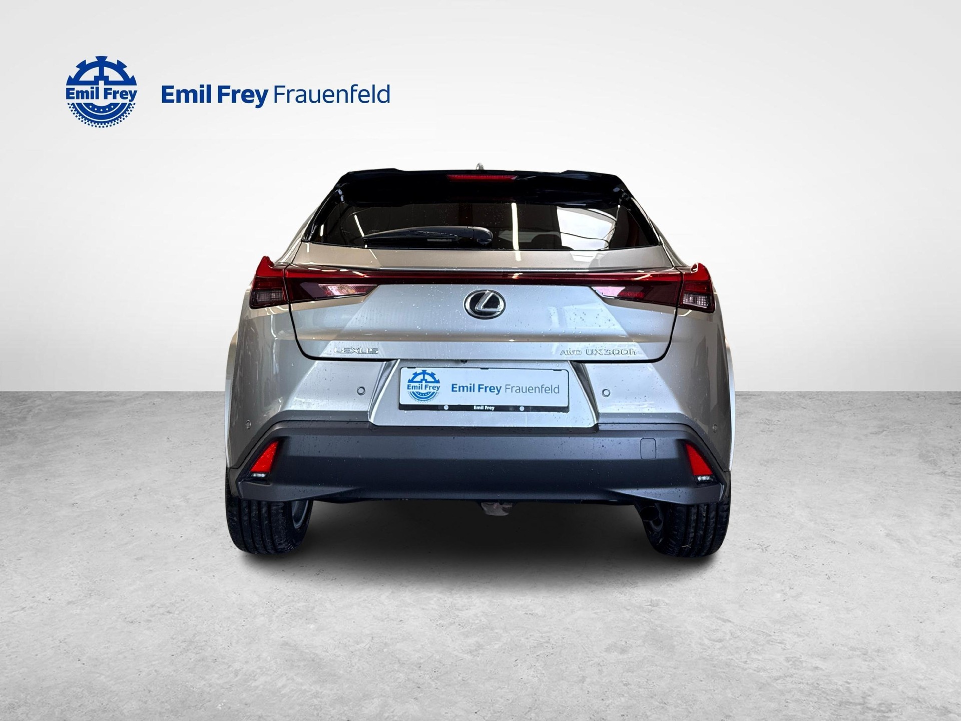 LEXUS UX 300h Excellence-image-3
