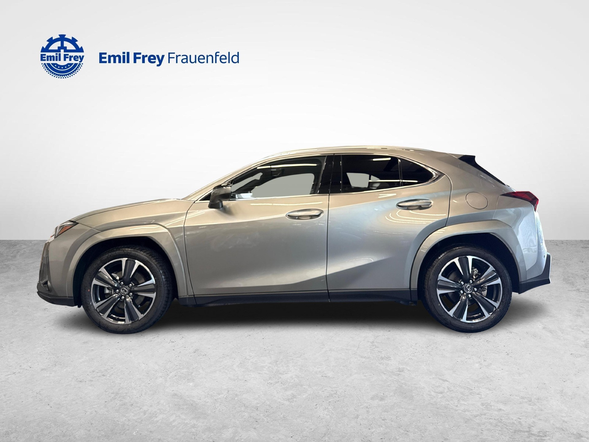 LEXUS UX 300h Excellence-image-1