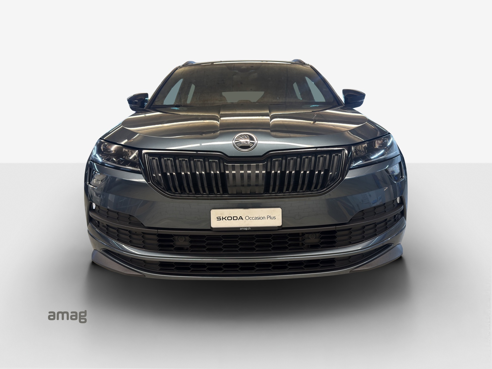 SKODA Karoq 1.5 TSI ACT SportLine DSG-image-6