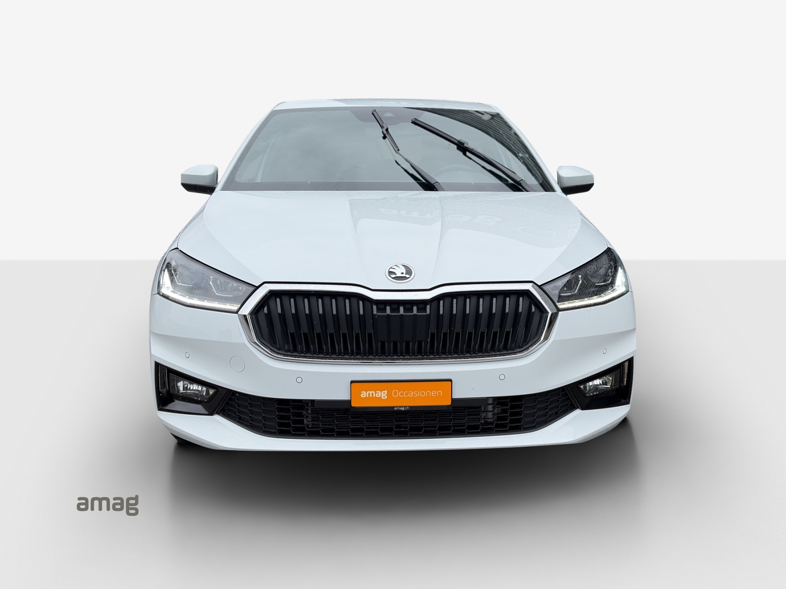 SKODA Fabia 1.0 TSI Dynamic DSG-image-6