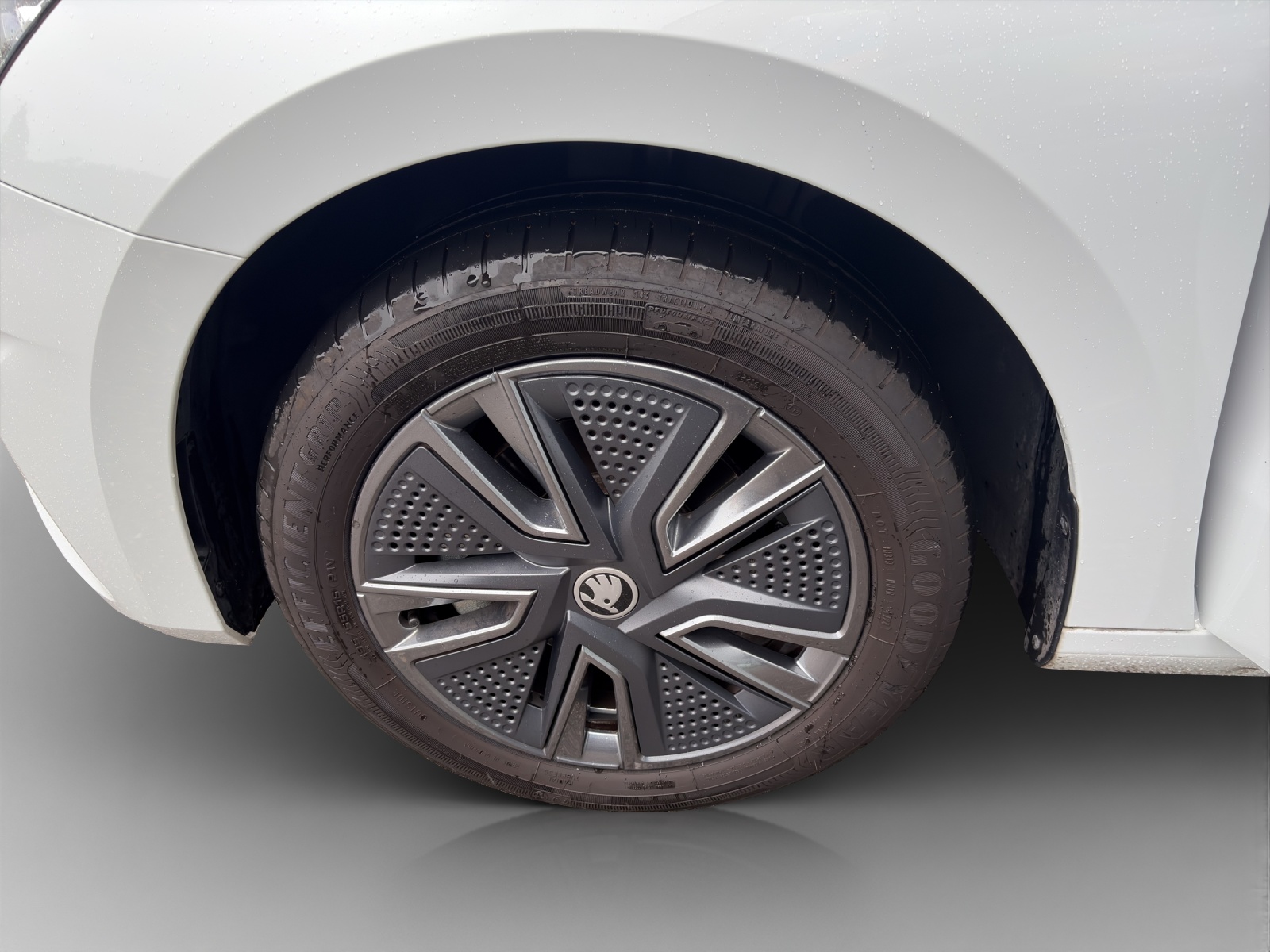 SKODA Fabia 1.0 TSI Dynamic DSG-image-13