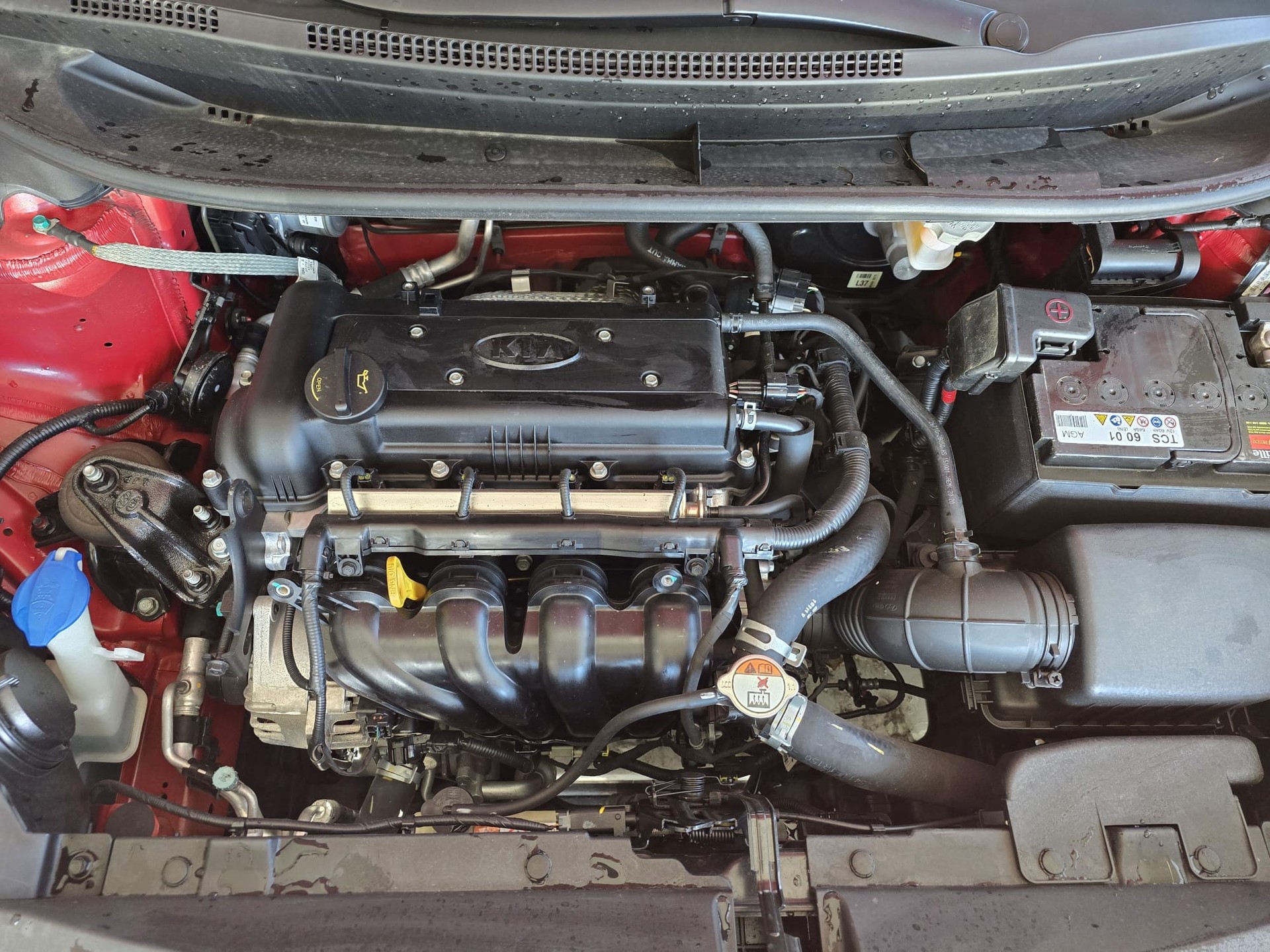 KIA Rio 1.4 CVVT Trend-image-30