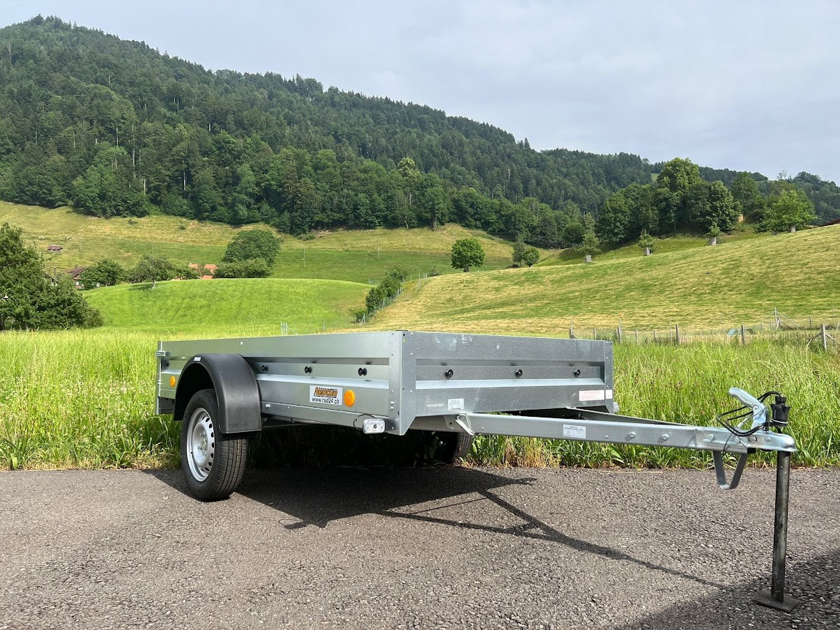 NEPTUN GN104 750kg L2630xB1250-image-0