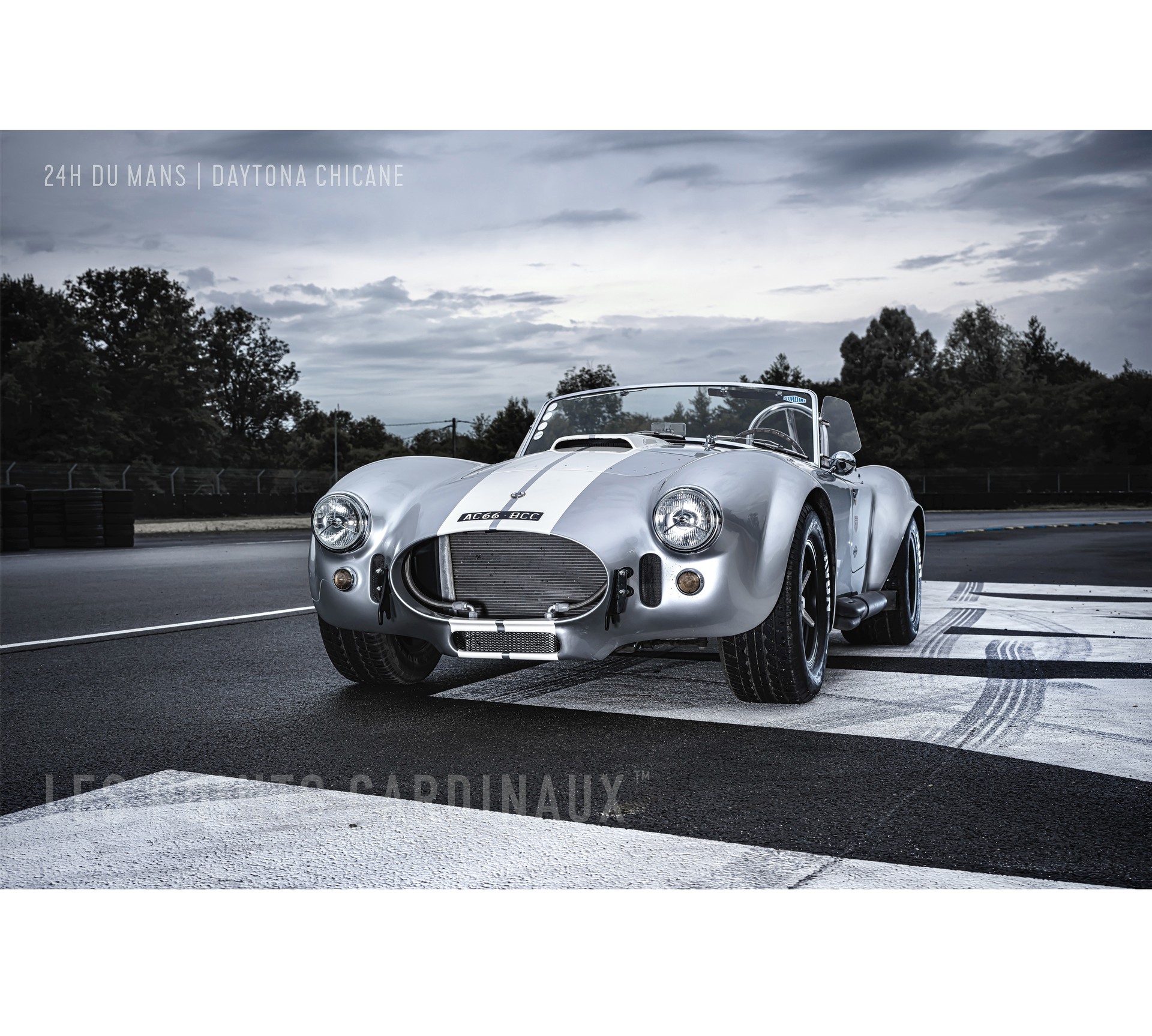 AC 1966 SHELBY 427 | DAYTONA edition-image-2