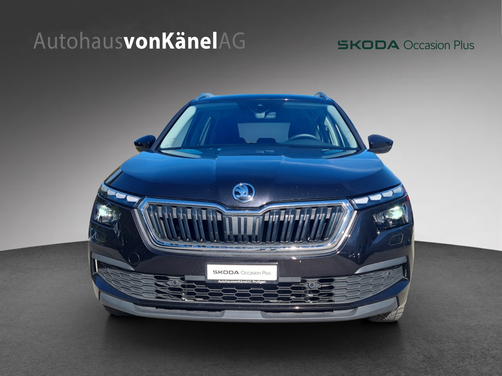 SKODA Kamiq 1.5 TSI ACT Style DSG-showroom-element-3