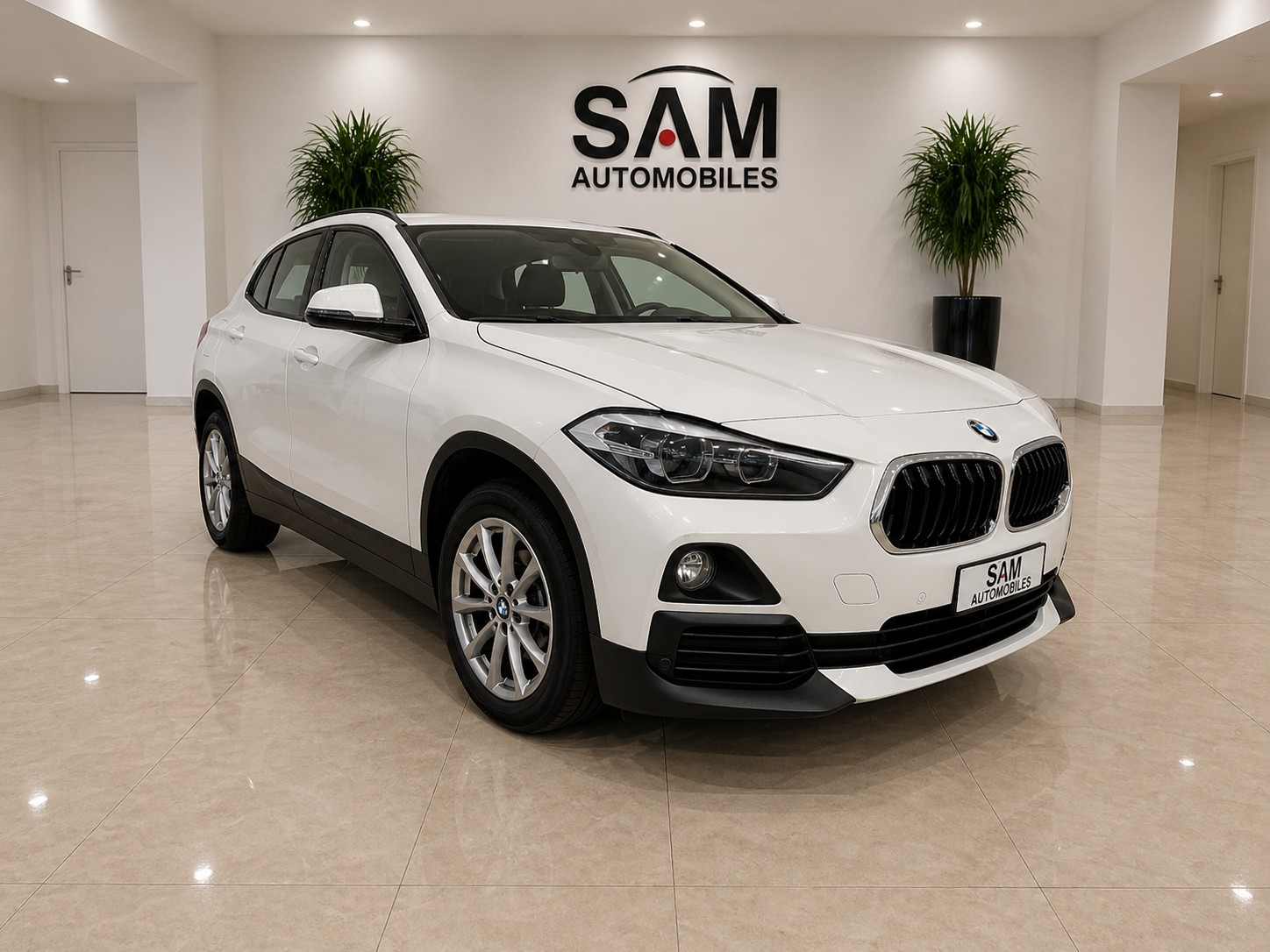 BMW X2 xDrive 18d Steptronic-image-2