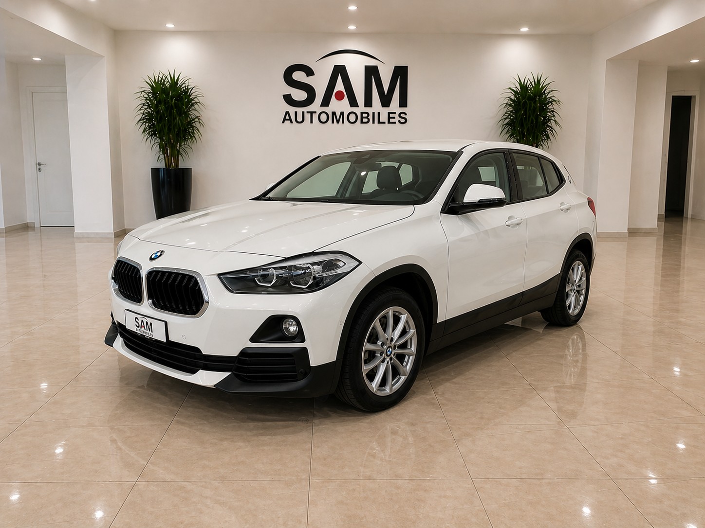 BMW X2 xDrive 18d Steptronic-image-0