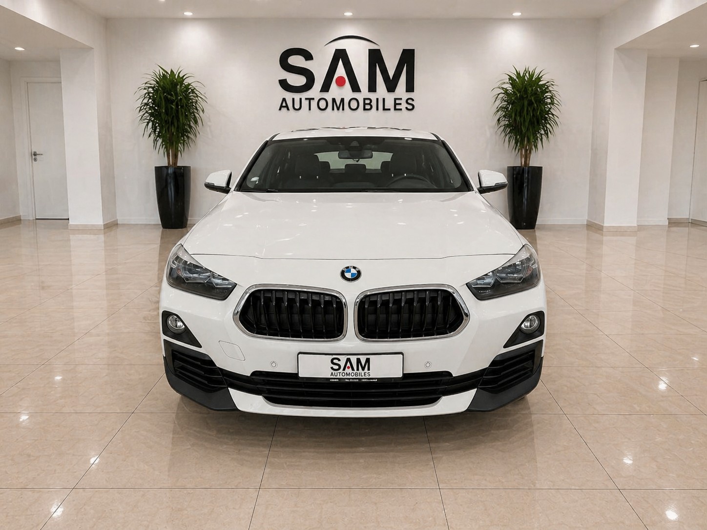 BMW X2 xDrive 18d Steptronic-image-1
