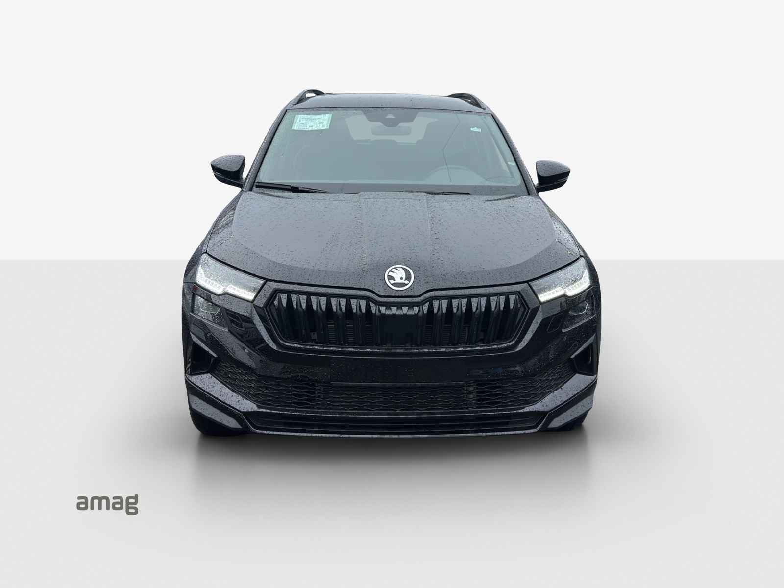 SKODA Karoq 2.0 TSI SportLine 4x4 DSG-image-6