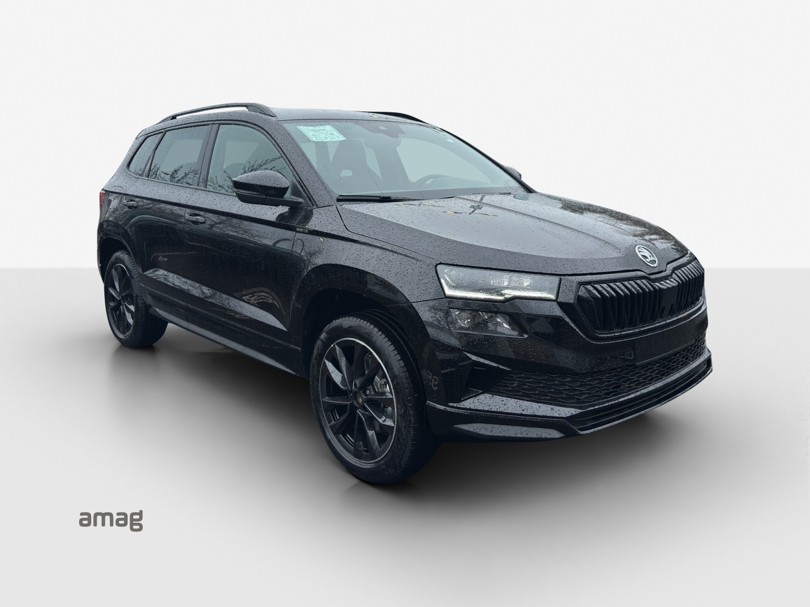 SKODA Karoq 2.0 TSI SportLine 4x4 DSG-image-5