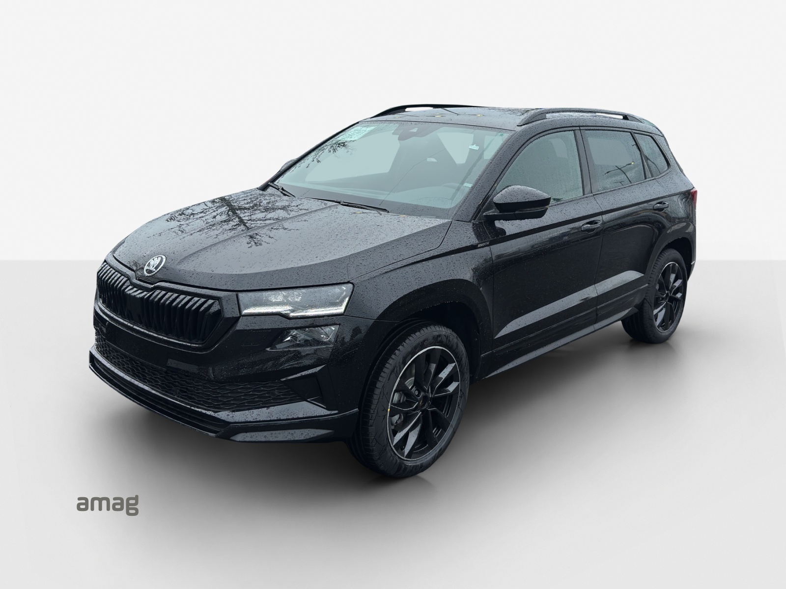 SKODA Karoq 2.0 TSI SportLine 4x4 DSG-image-0