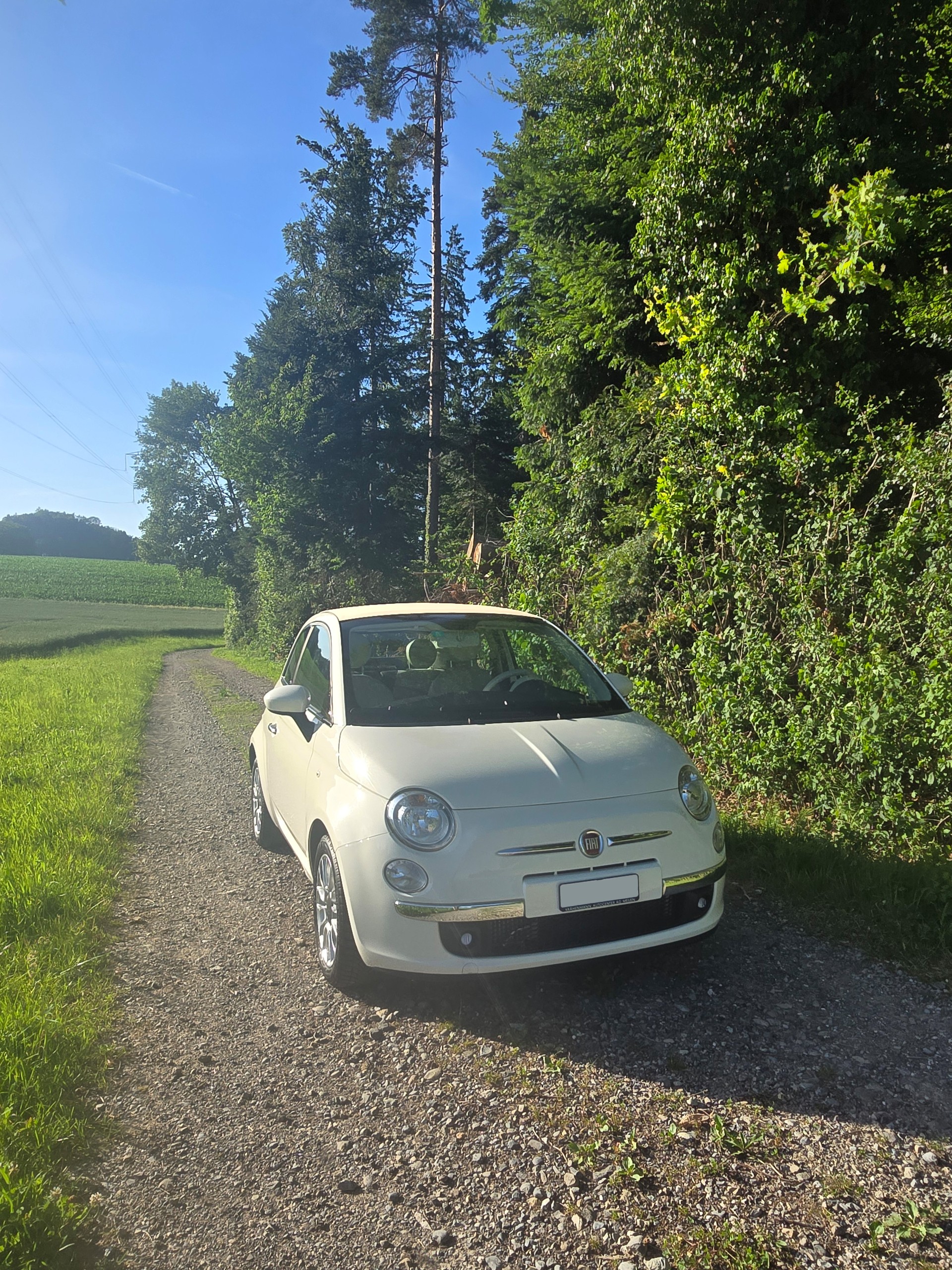 FIAT 0.9 T TwinAir Lounge Dual.-image-2