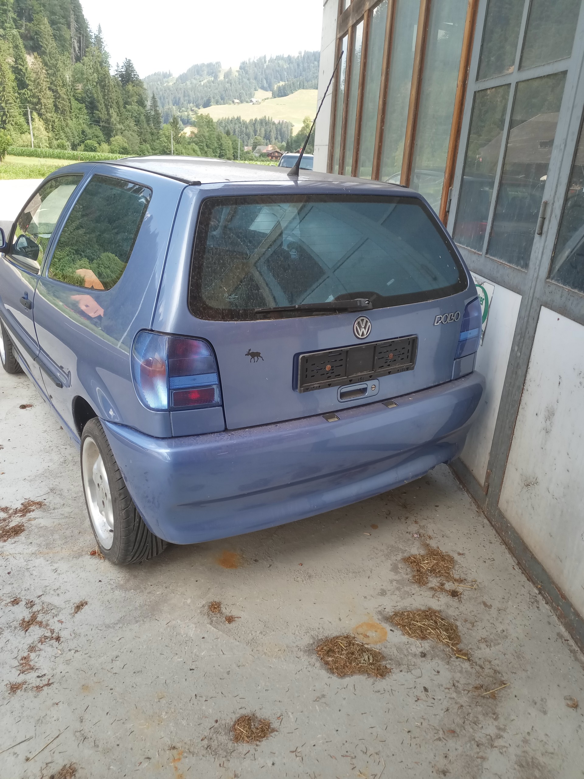 VW Polo 75 Swiss Special-image-1