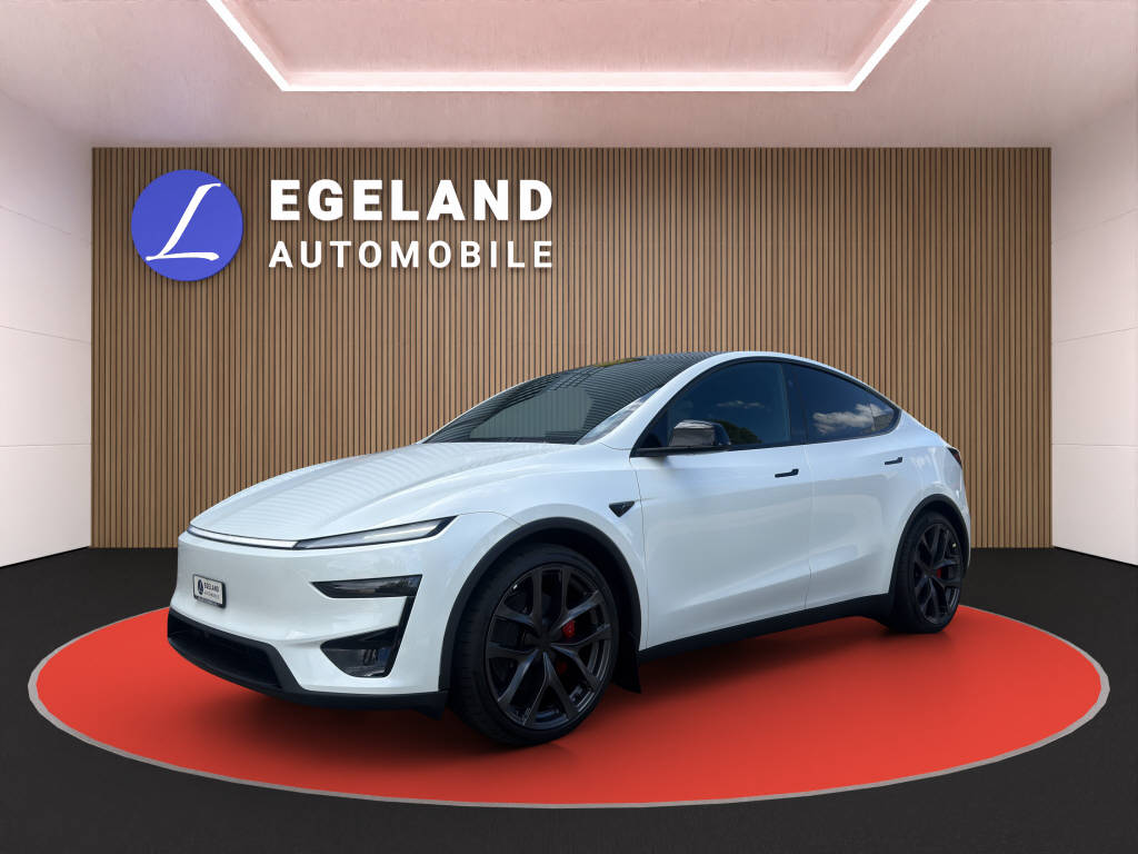 TESLA Model Y Performance AWD-image-0