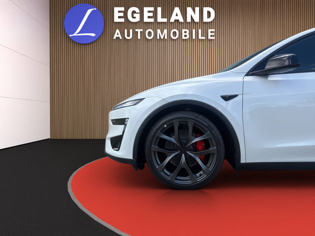 TESLA Model Y Performance AWD-image-9