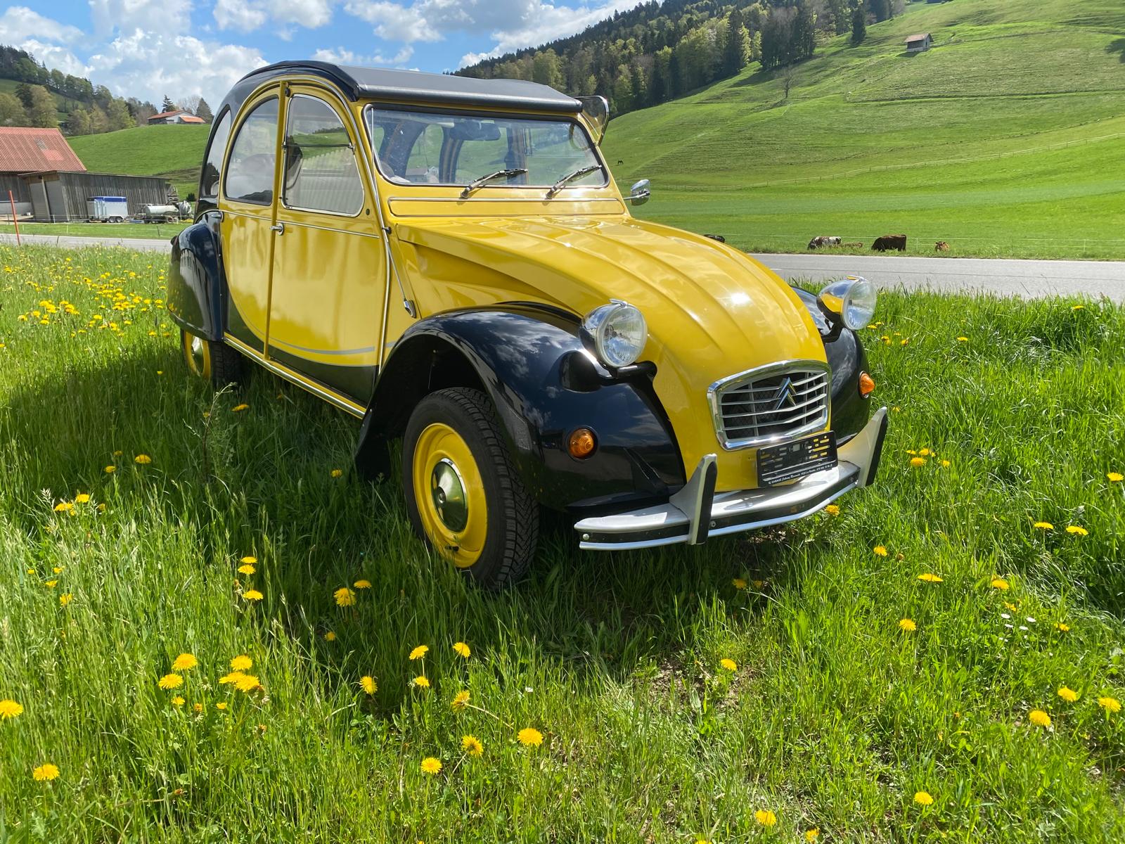 Car photo