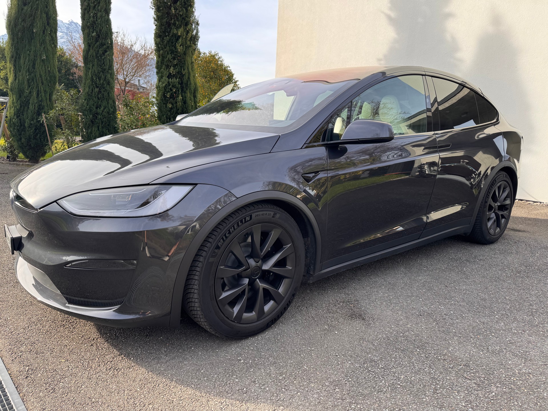 TESLA Long Rang-image-0