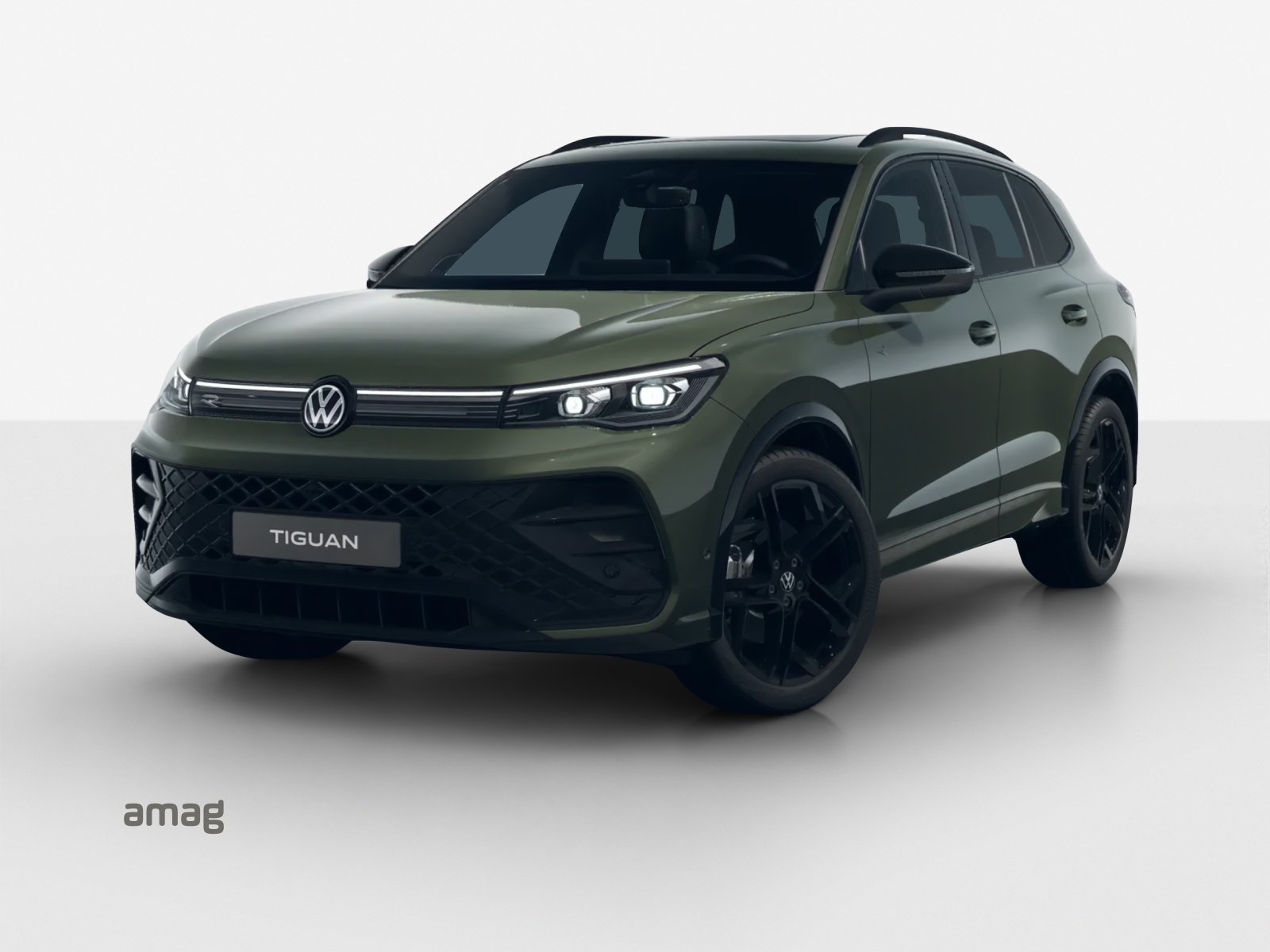 VW Tiguan 2.0 TSI DSG R-Line Plus 4Motion-image-0