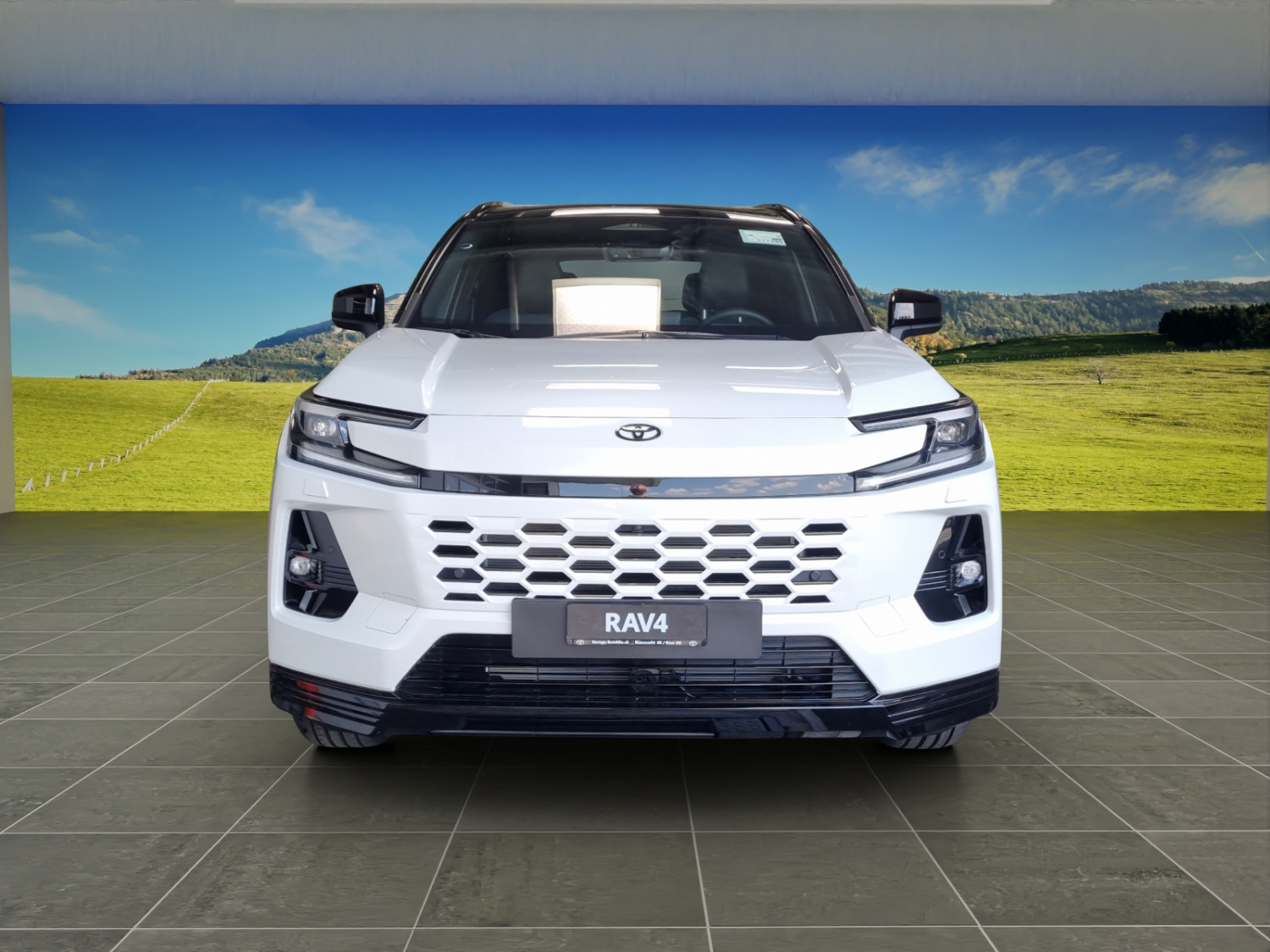 TOYOTA RAV4 2.5 HEV Style-image-6