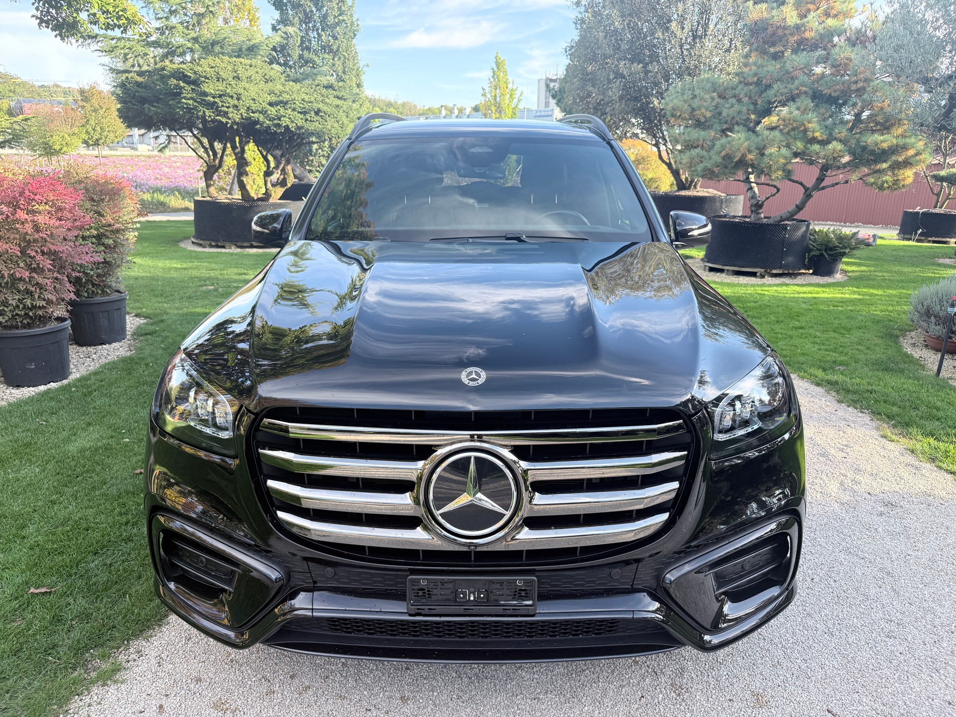 MERCEDES-BENZ GLS 580 4Matic 9G-Tronic-image-1