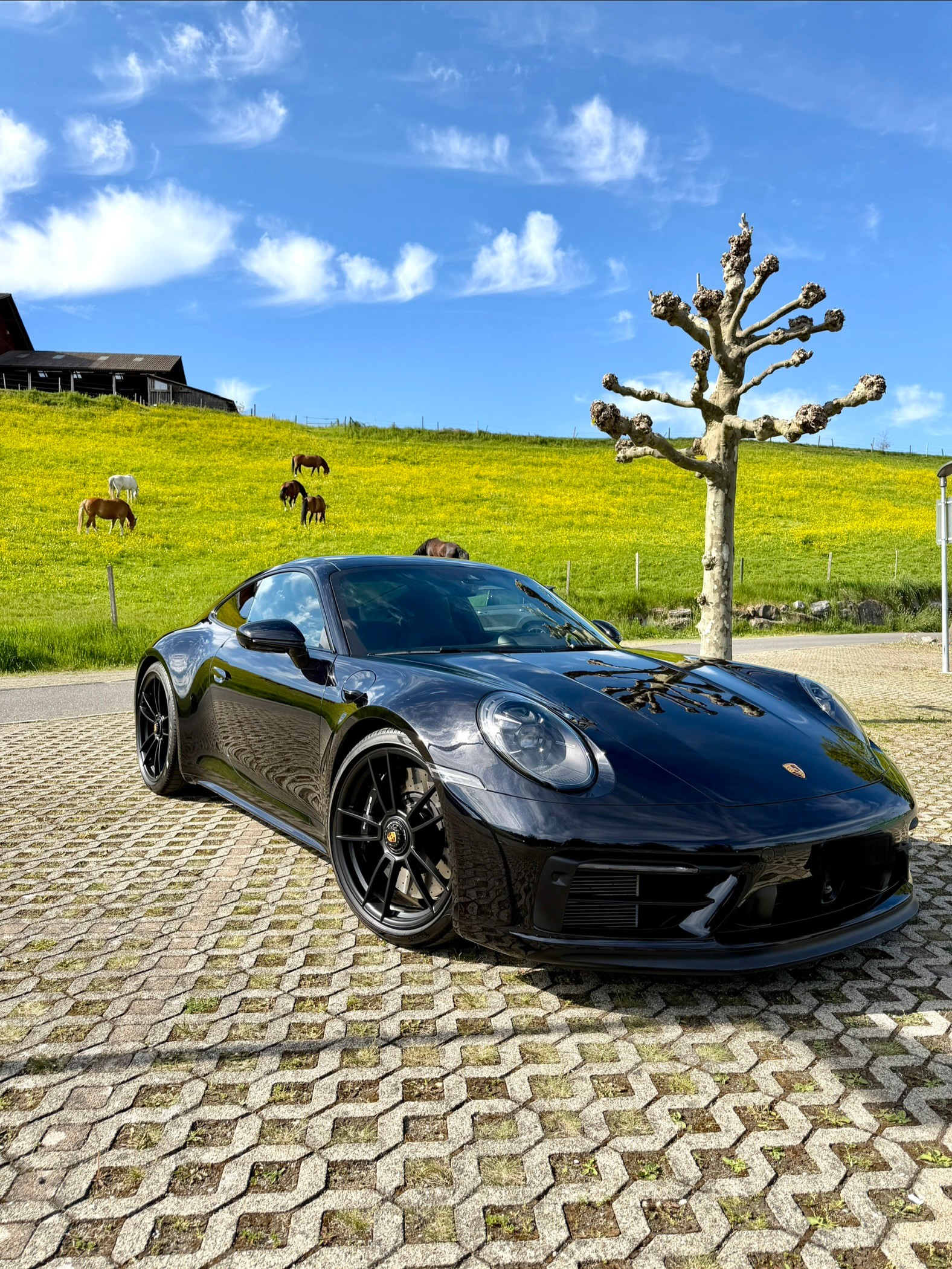 PORSCHE 911 Carrera 4 GTS-image-3