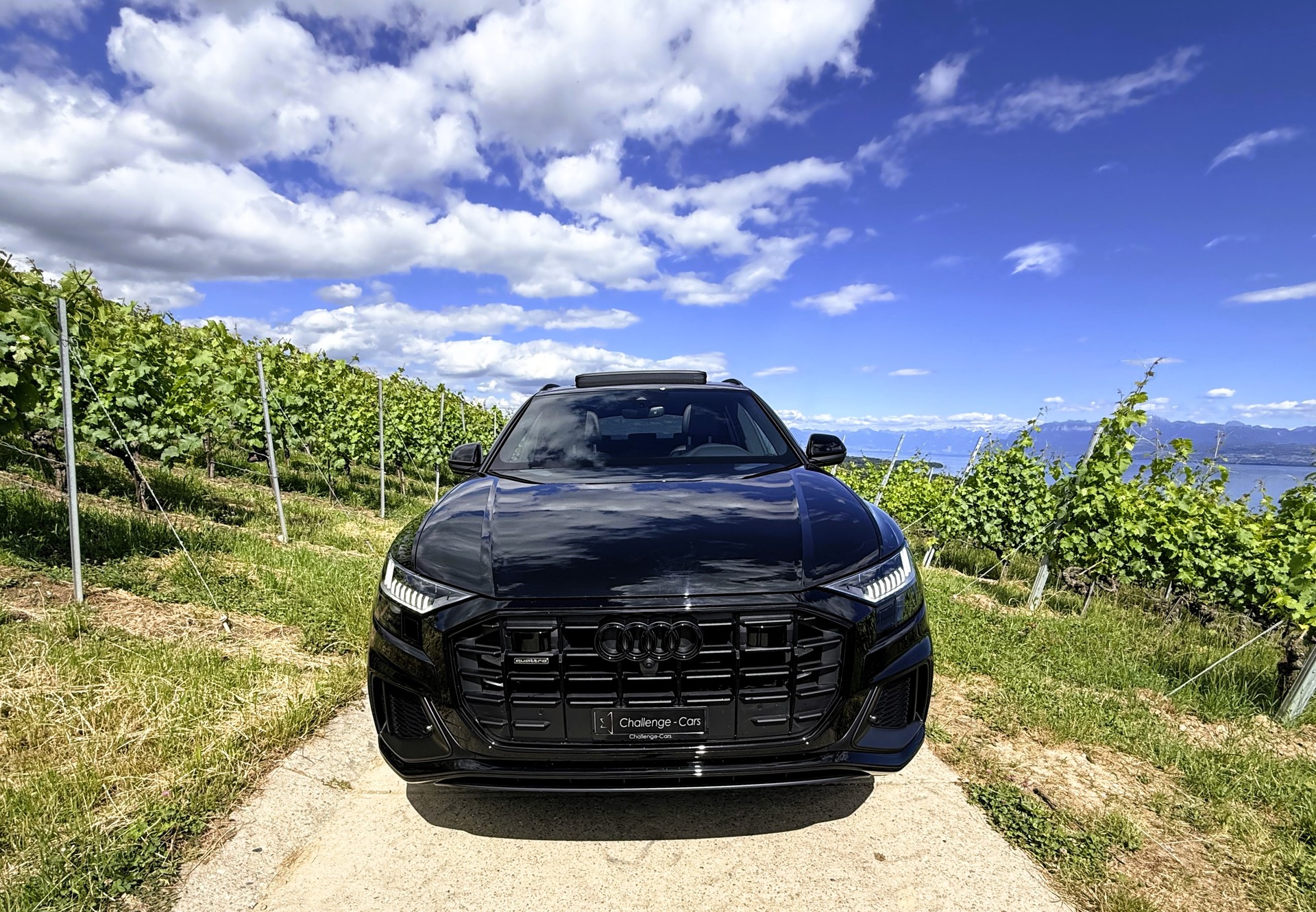 AUDI Q8 45 TDI Black Edition quattro tiptronic-image-2