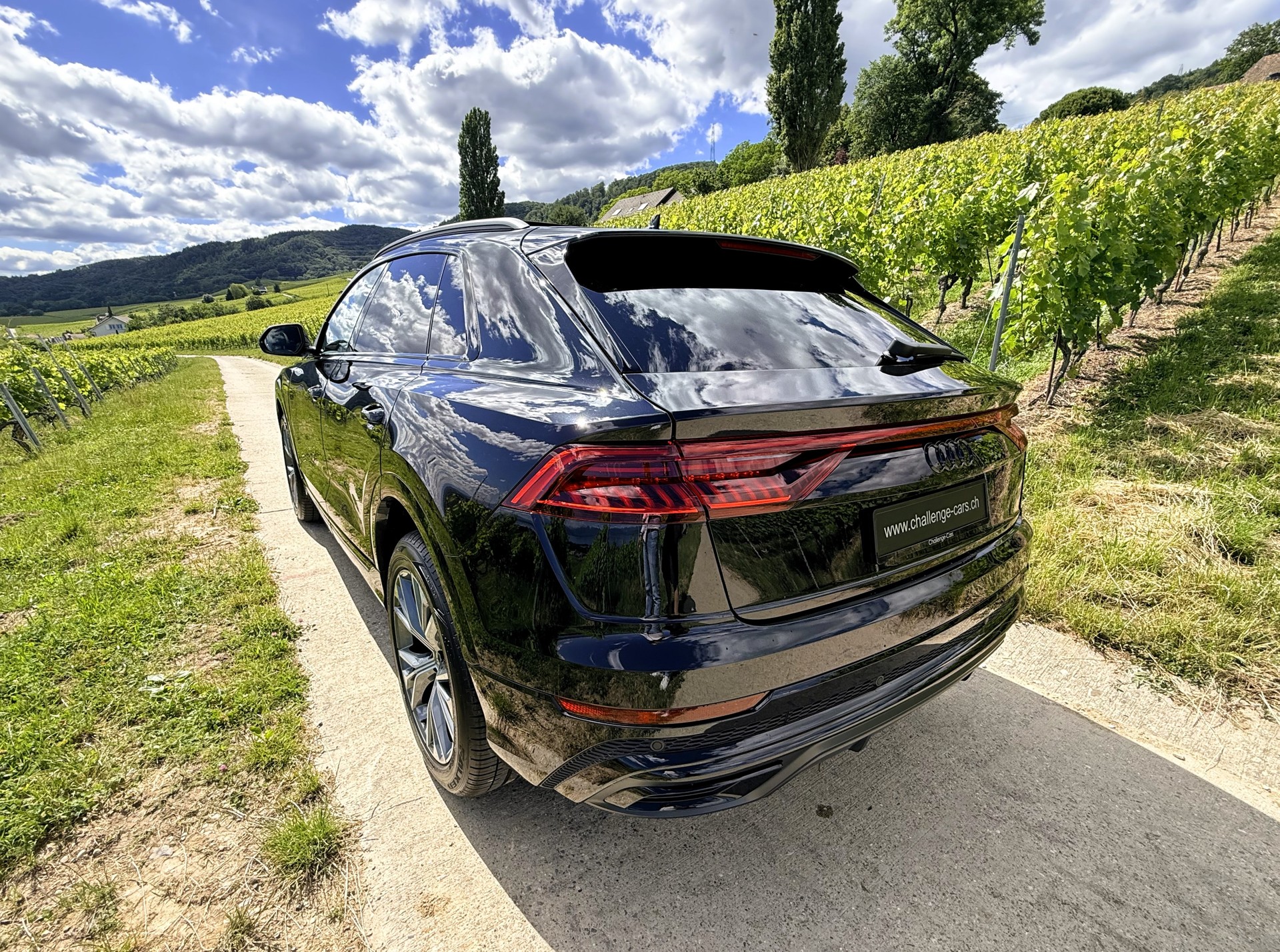 AUDI Q8 45 TDI Black Edition quattro tiptronic-image-10