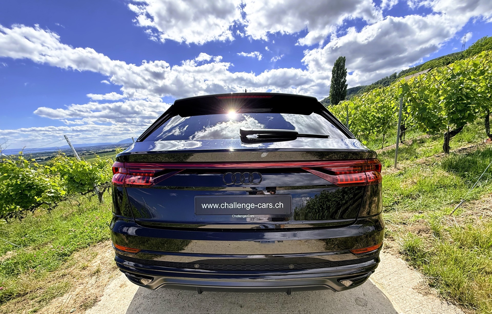 AUDI Q8 45 TDI Black Edition quattro tiptronic-image-9