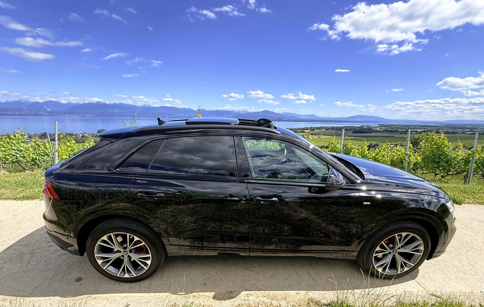 AUDI Q8 45 TDI Black Edition quattro tiptronic-image-6