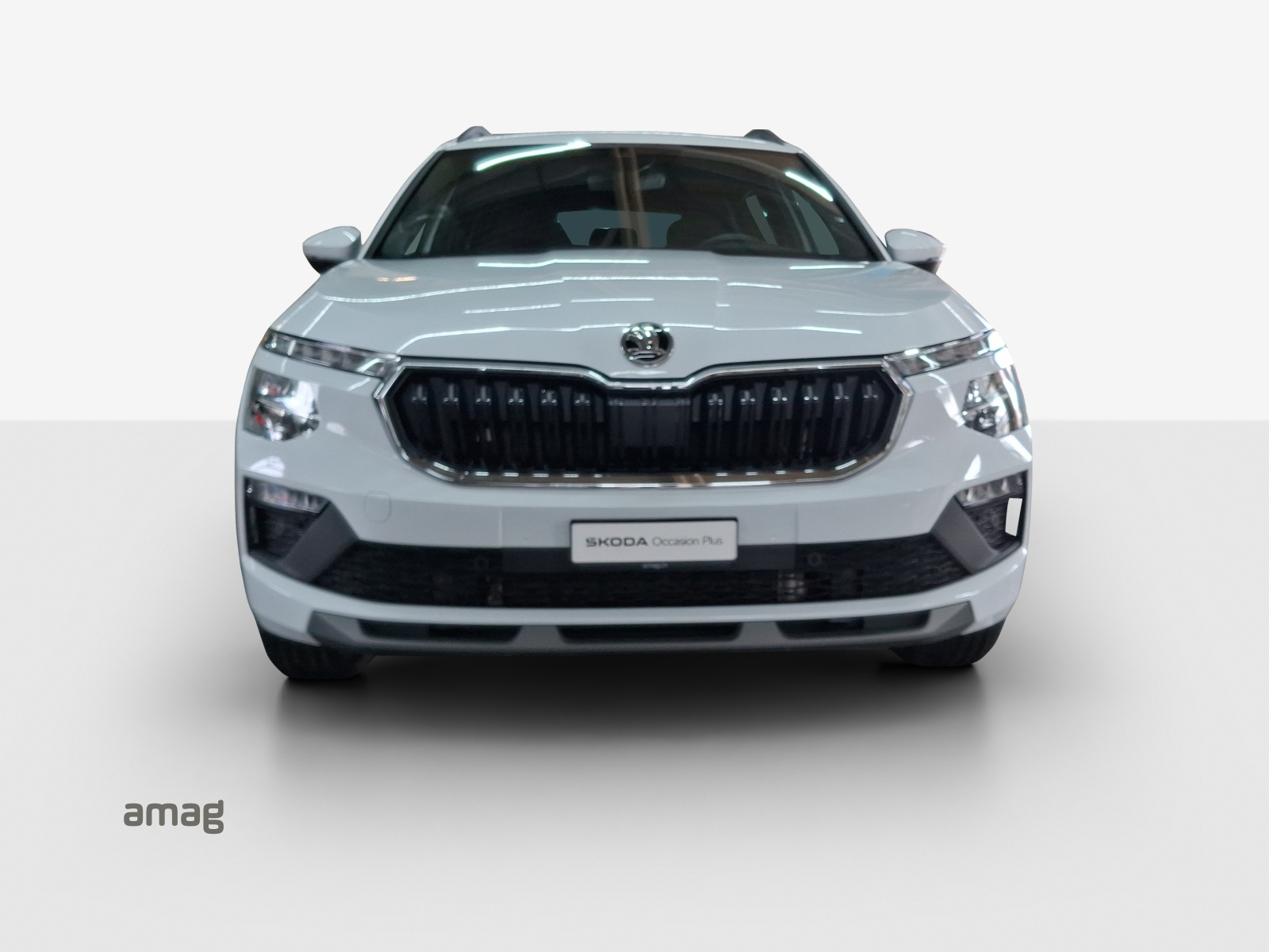 SKODA Kamiq 1.0 TSI Selection DSG-image-5