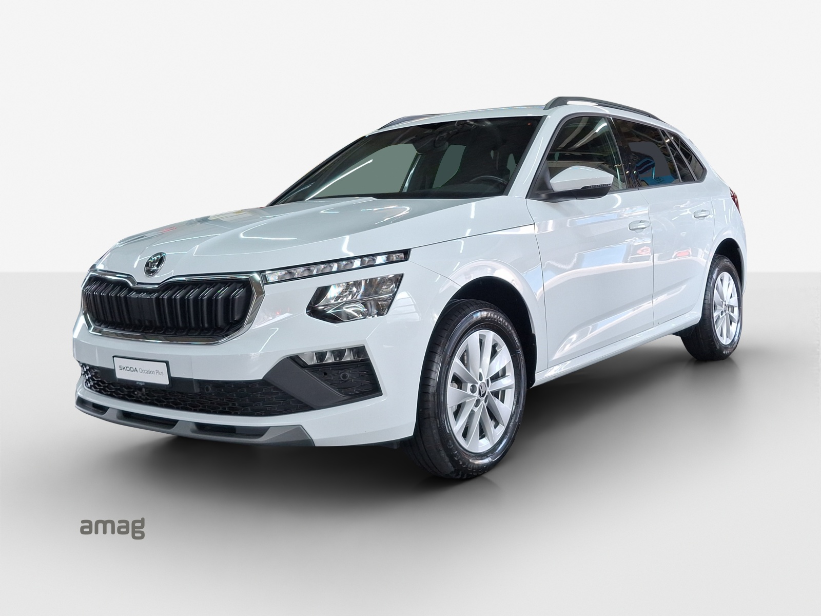 SKODA Kamiq 1.0 TSI Selection DSG-image-0