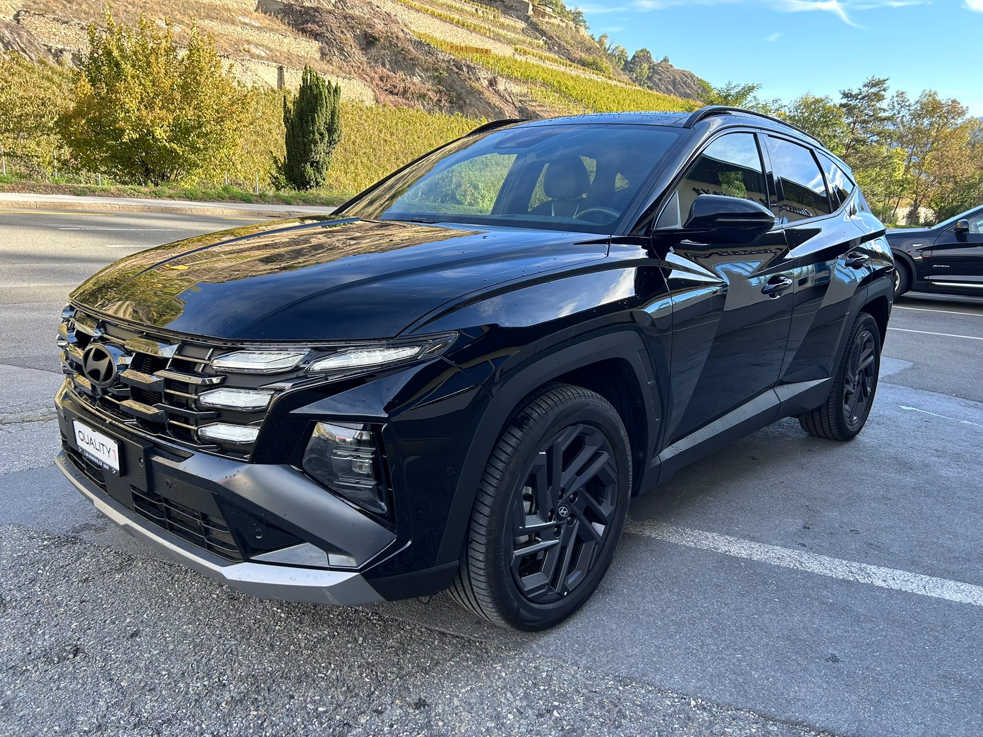 HYUNDAI Tucson 1.6 TGDI HEV Vertex 20th Anniversary 4WD-image-0