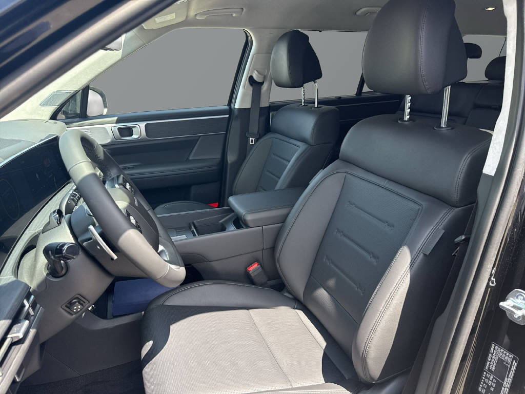 HYUNDAI Santa Fe 1.6 T-GDi PHEV Vertex-image-10