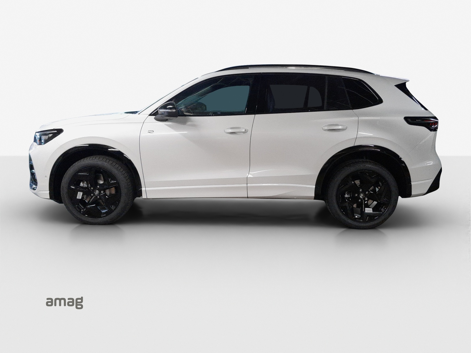 VW Tiguan 2.0 TSI DSG R-Line 4Motion-image-1