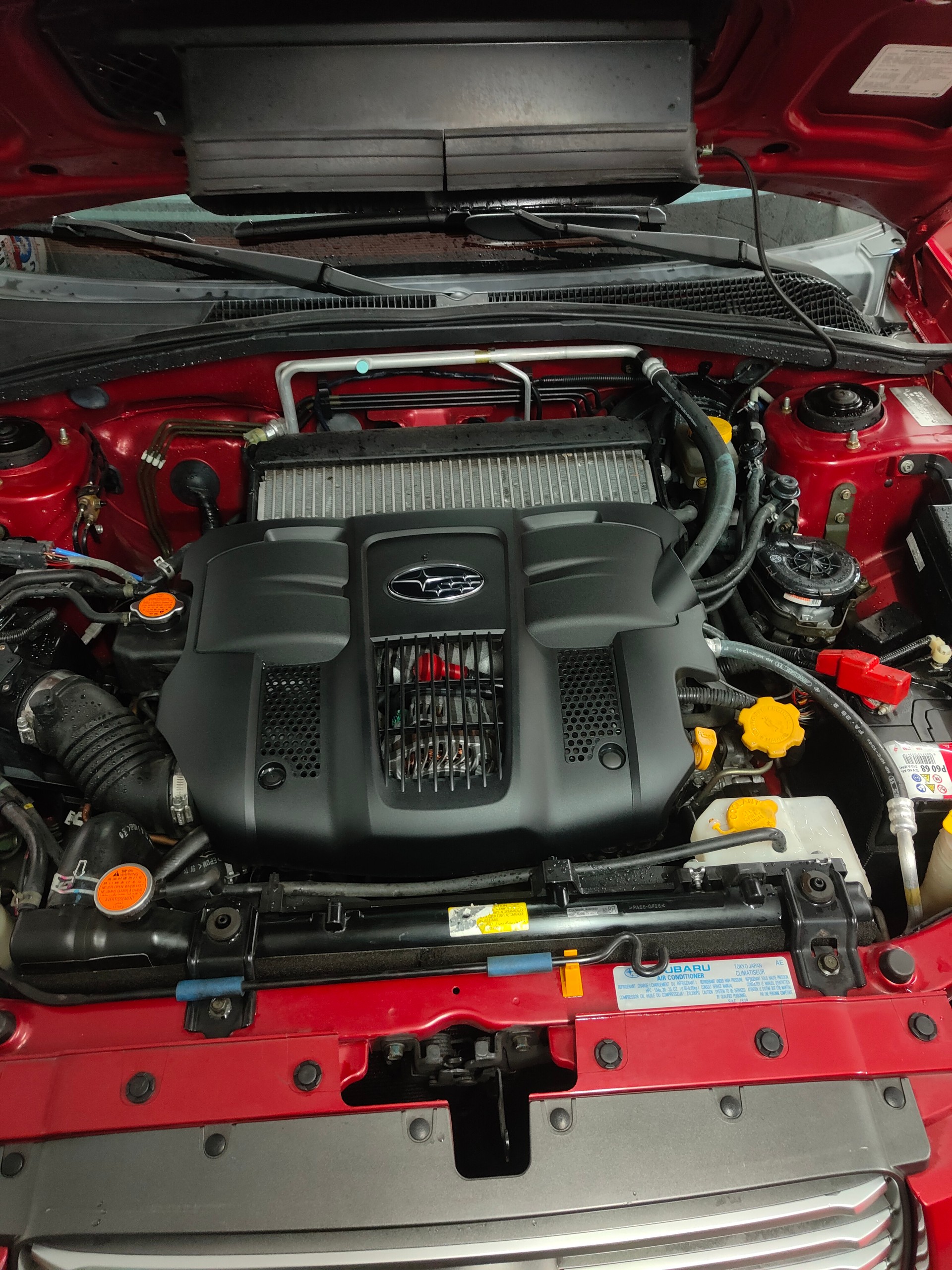 SUBARU Forester 2.5XT Limited (Club)-image-8