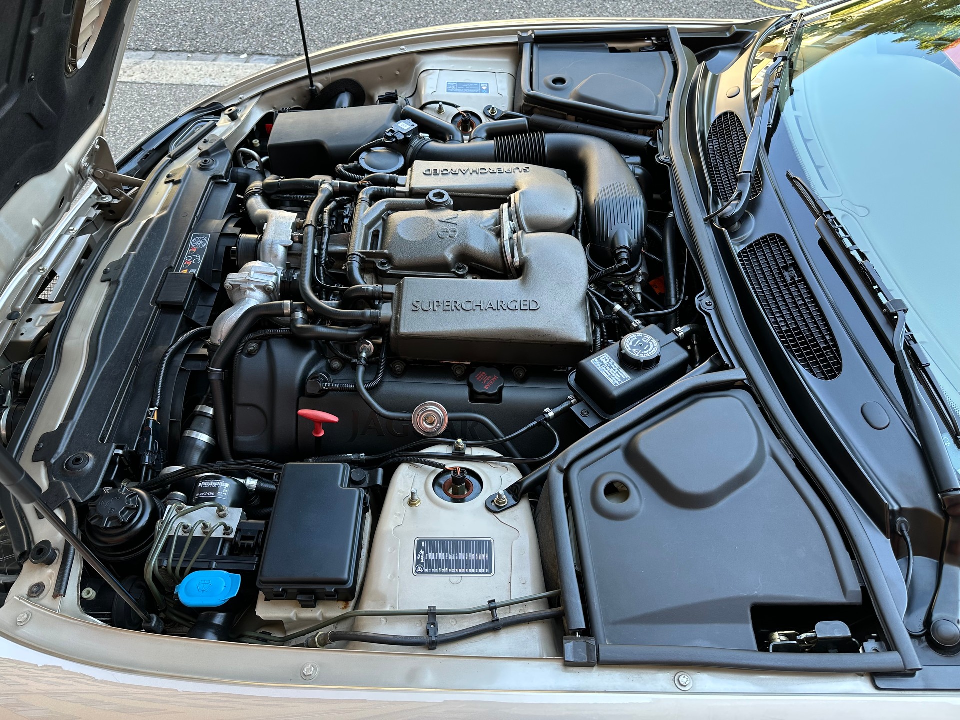 JAGUAR XKR S/C 4.2 Special Edition-image-11