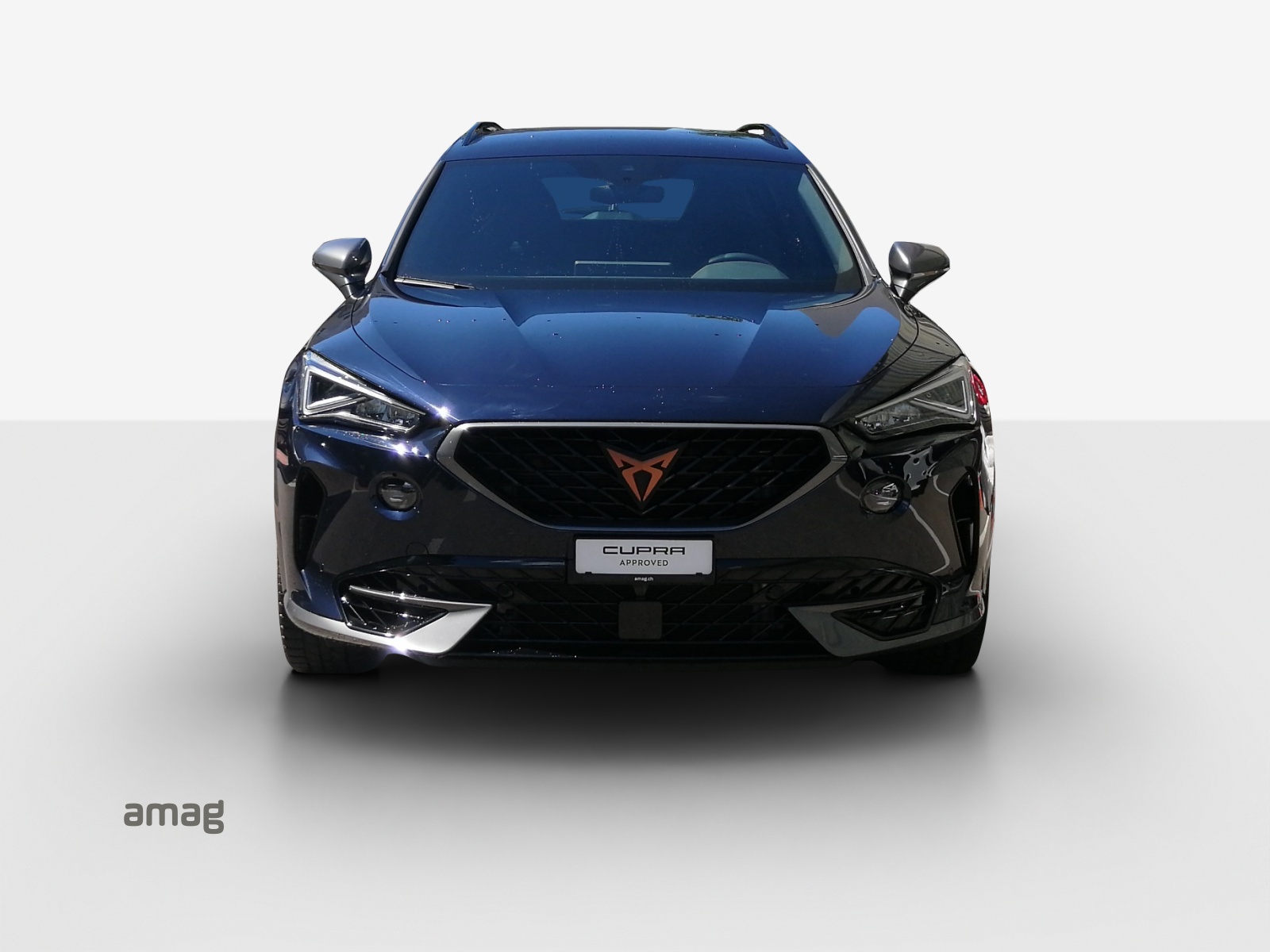 CUPRA Formentor 2.0TSI VZ 4Drive DSG-image-6