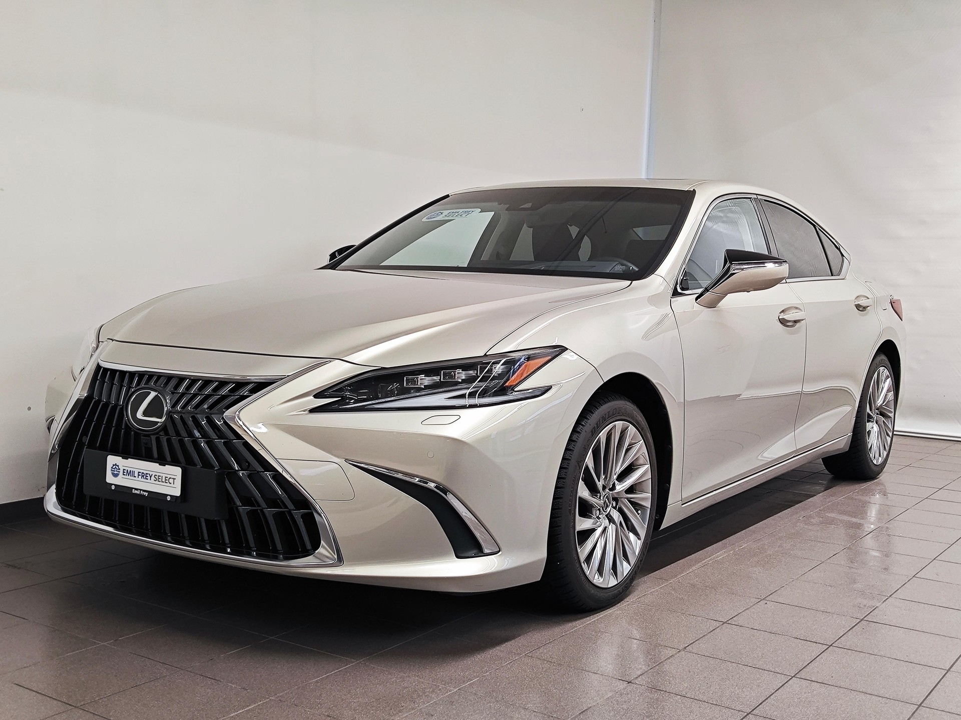 LEXUS ES 300h Excellence - Pneumatici invernali inclusi-image-1