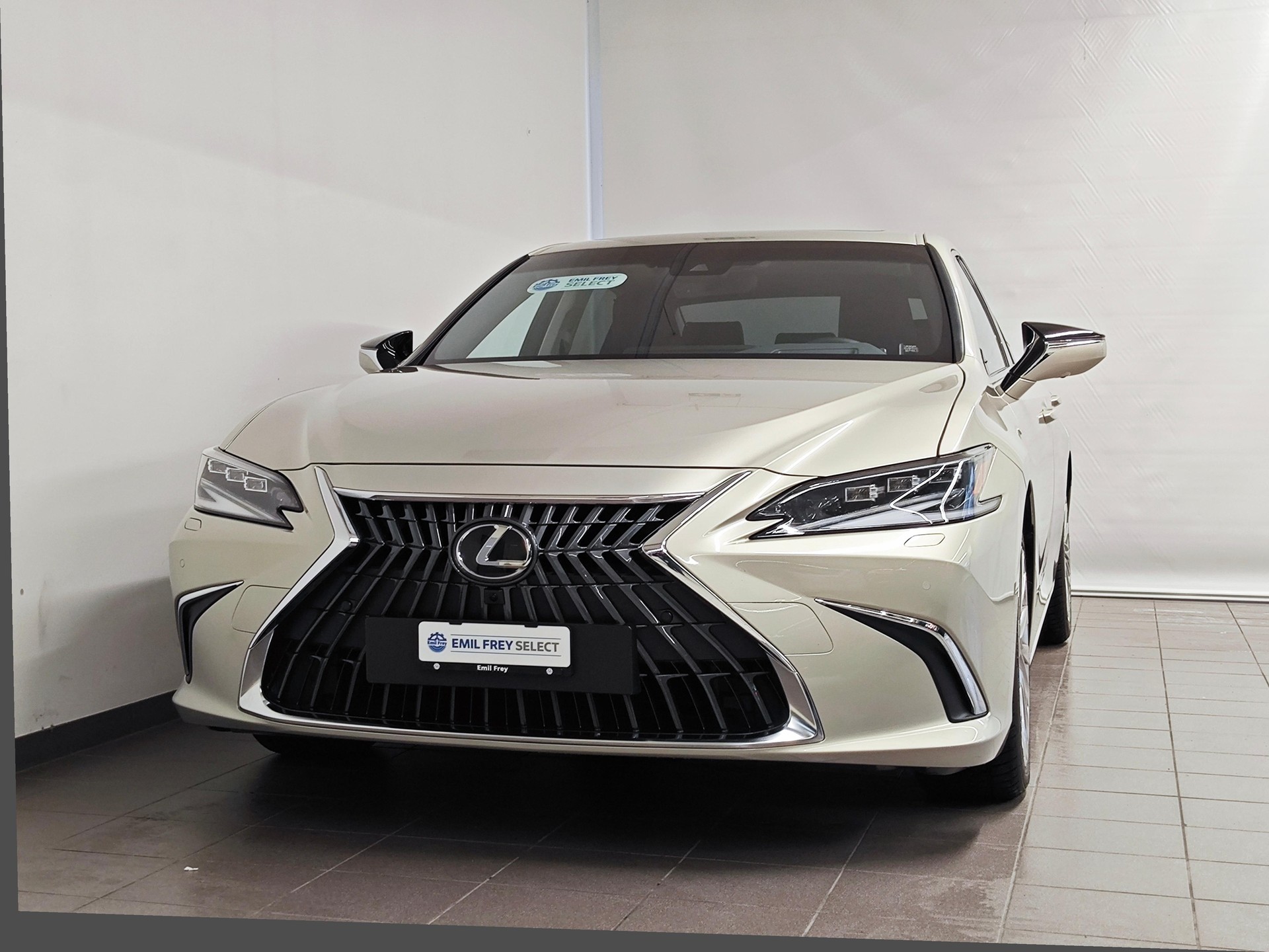 LEXUS ES 300h Excellence - Pneumatici invernali inclusi-image-0