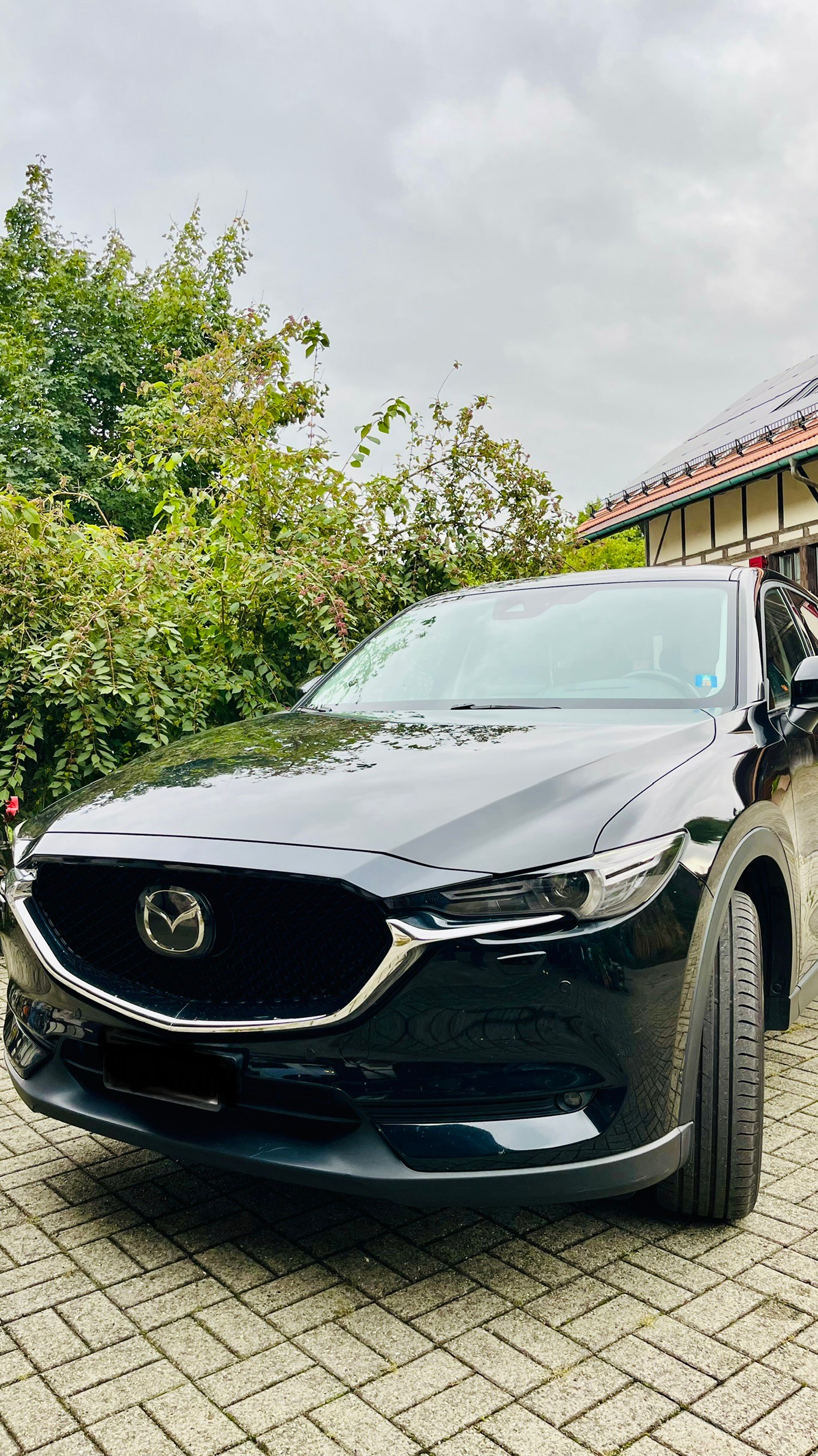 MAZDA 2.2 D 175 Revolution AWD-image-4