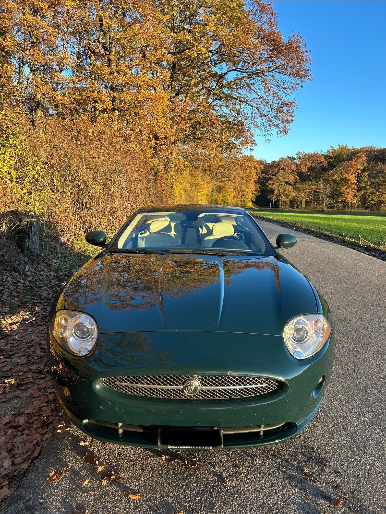 JAGUAR XK 4.2 V8 Automatic-image-0