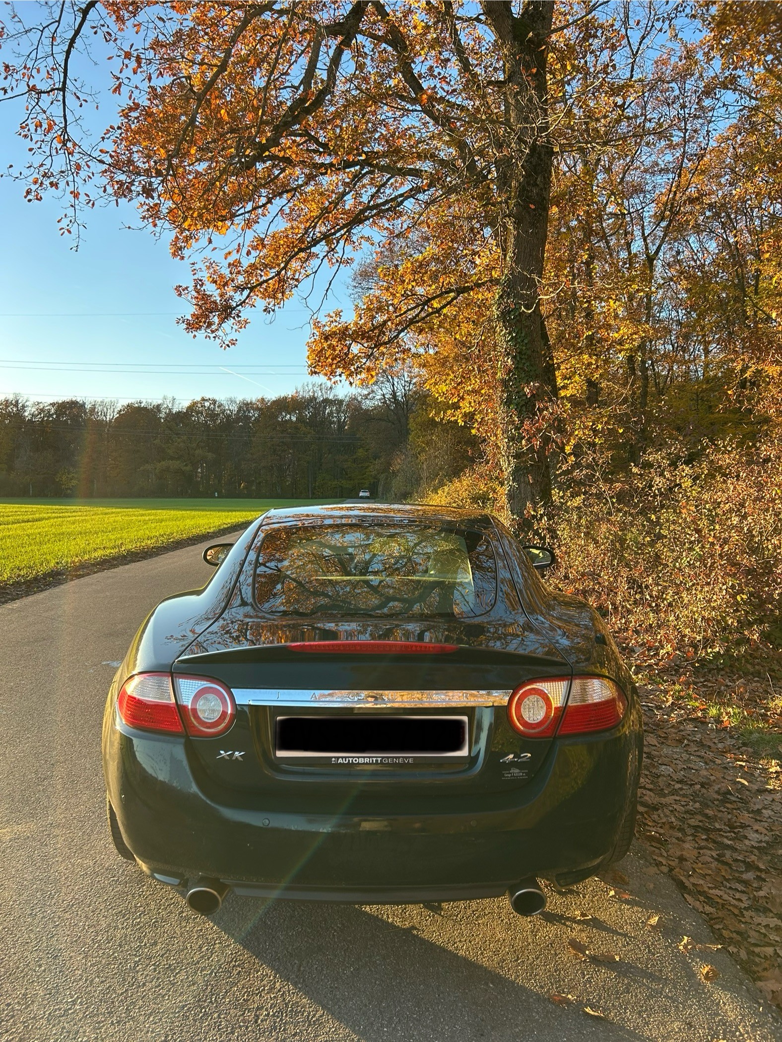 JAGUAR XK 4.2 V8 Automatic-image-3