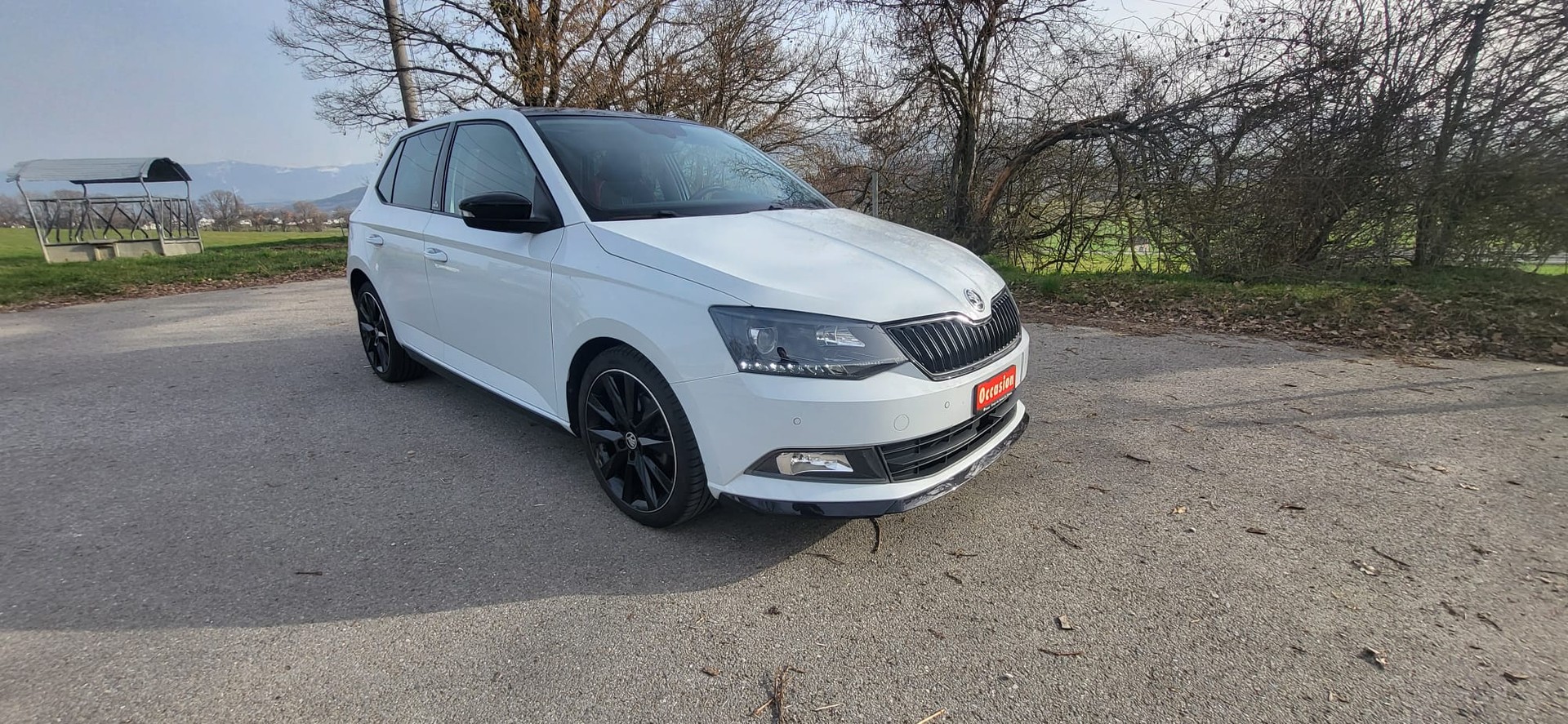 SKODA Fabia 1.2 TSI Monte Carlo DSG-image-5