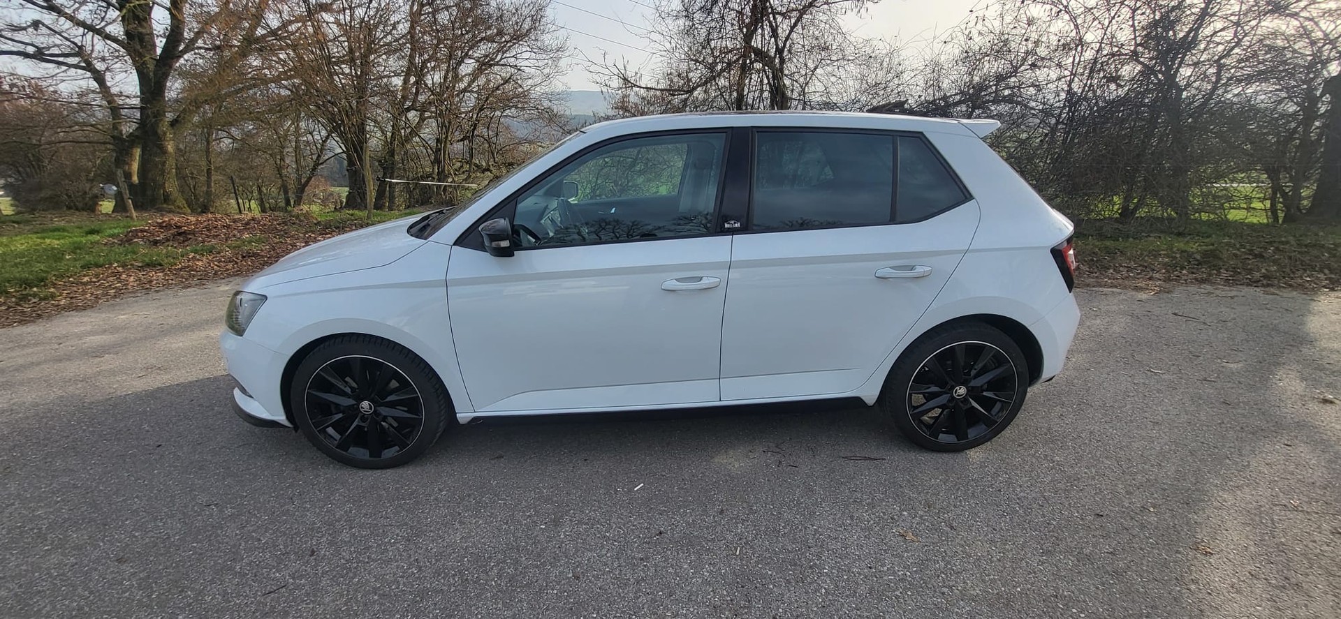 SKODA Fabia 1.2 TSI Monte Carlo DSG-image-2