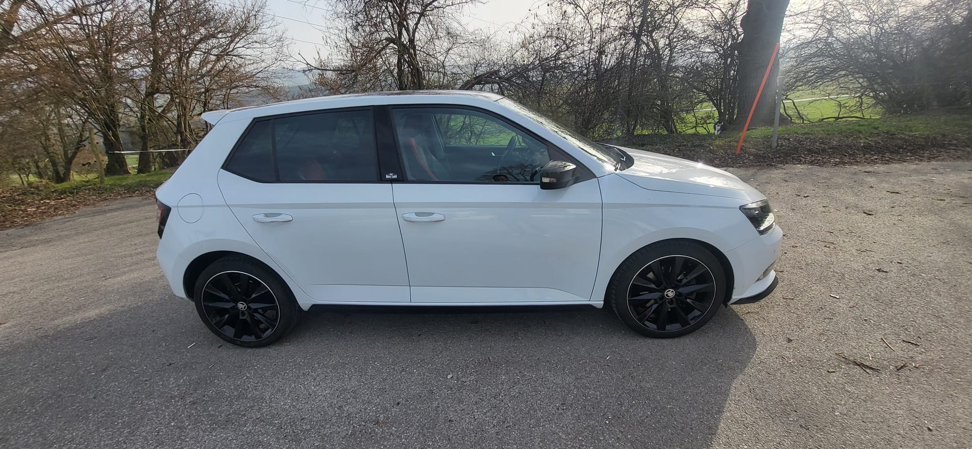 SKODA Fabia 1.2 TSI Monte Carlo DSG-image-6