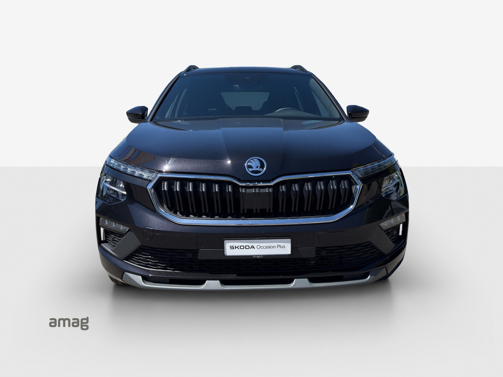 SKODA Kamiq 1.0 TSI Selection DSG-image-6