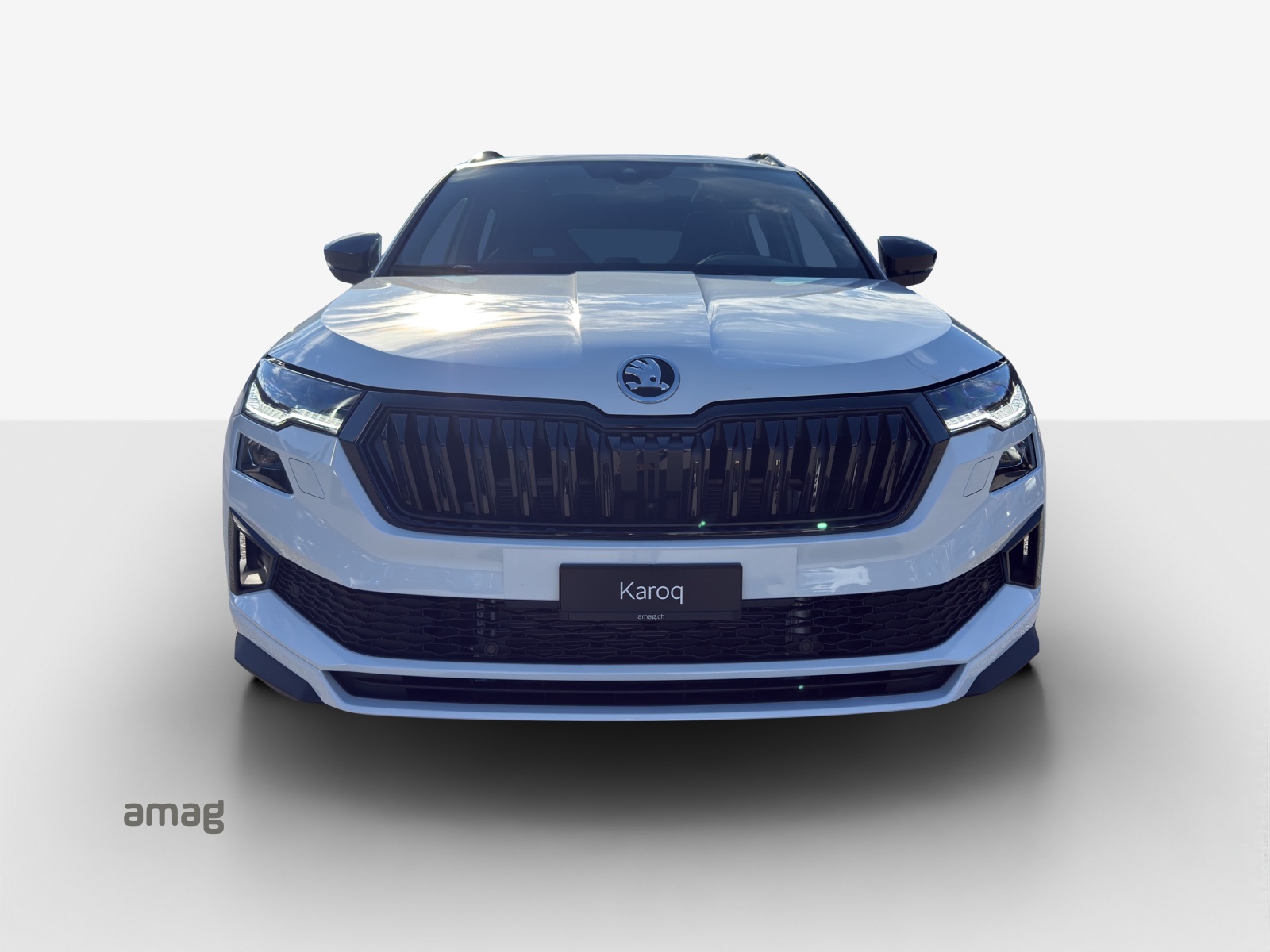 SKODA Karoq 1.5 TSI SportLine DSG-image-6