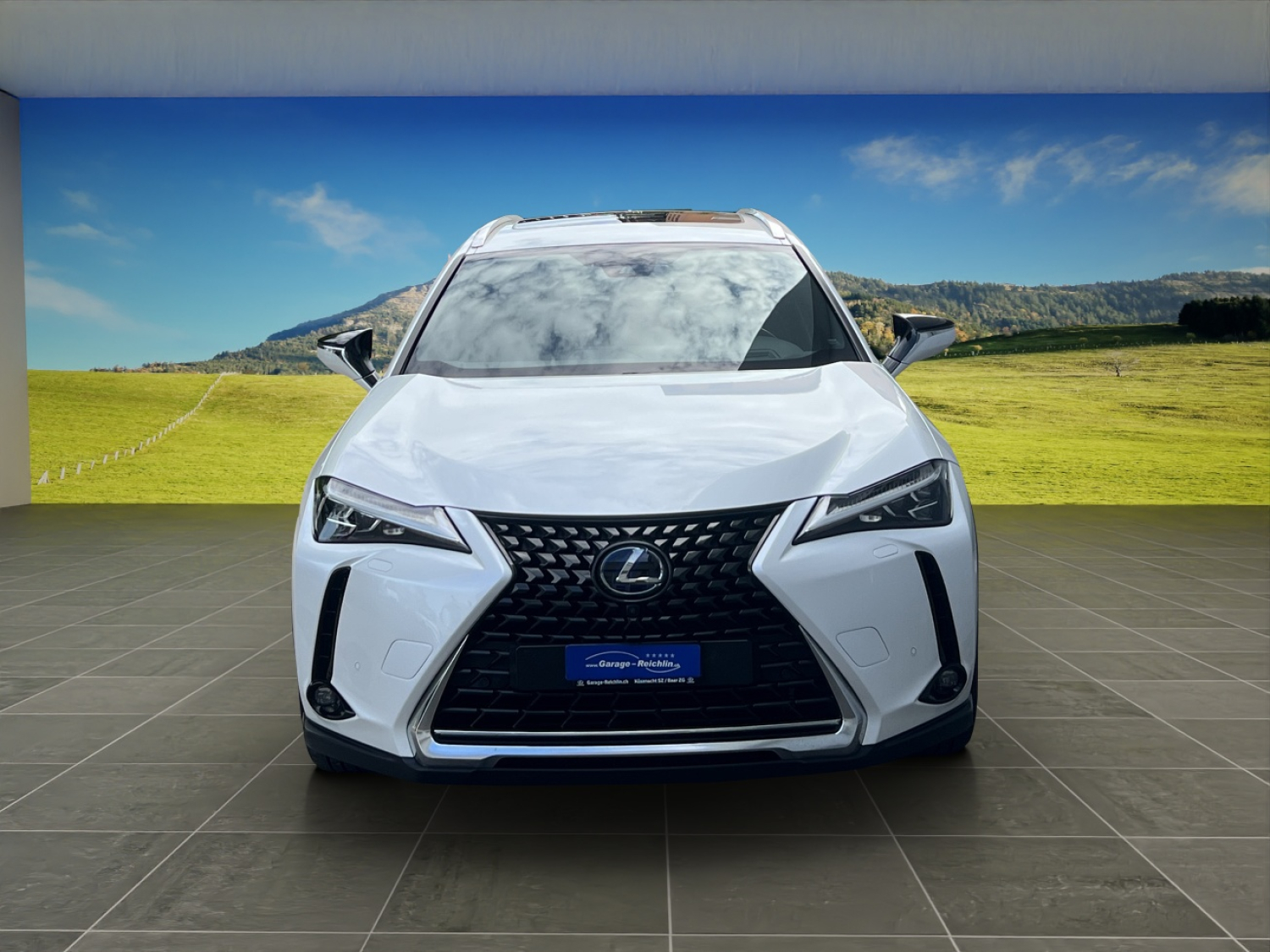 LEXUS UX 250h Excellence-image-7